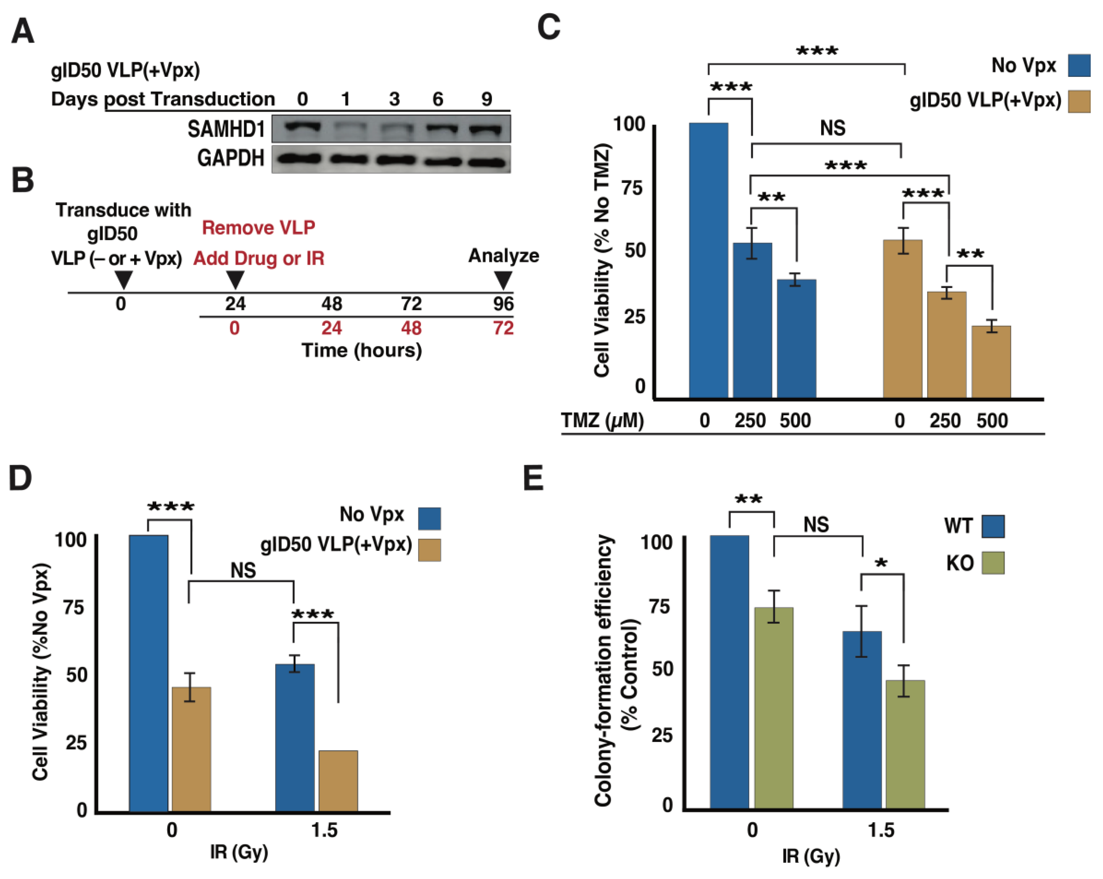 Cancers 14 04490 g005