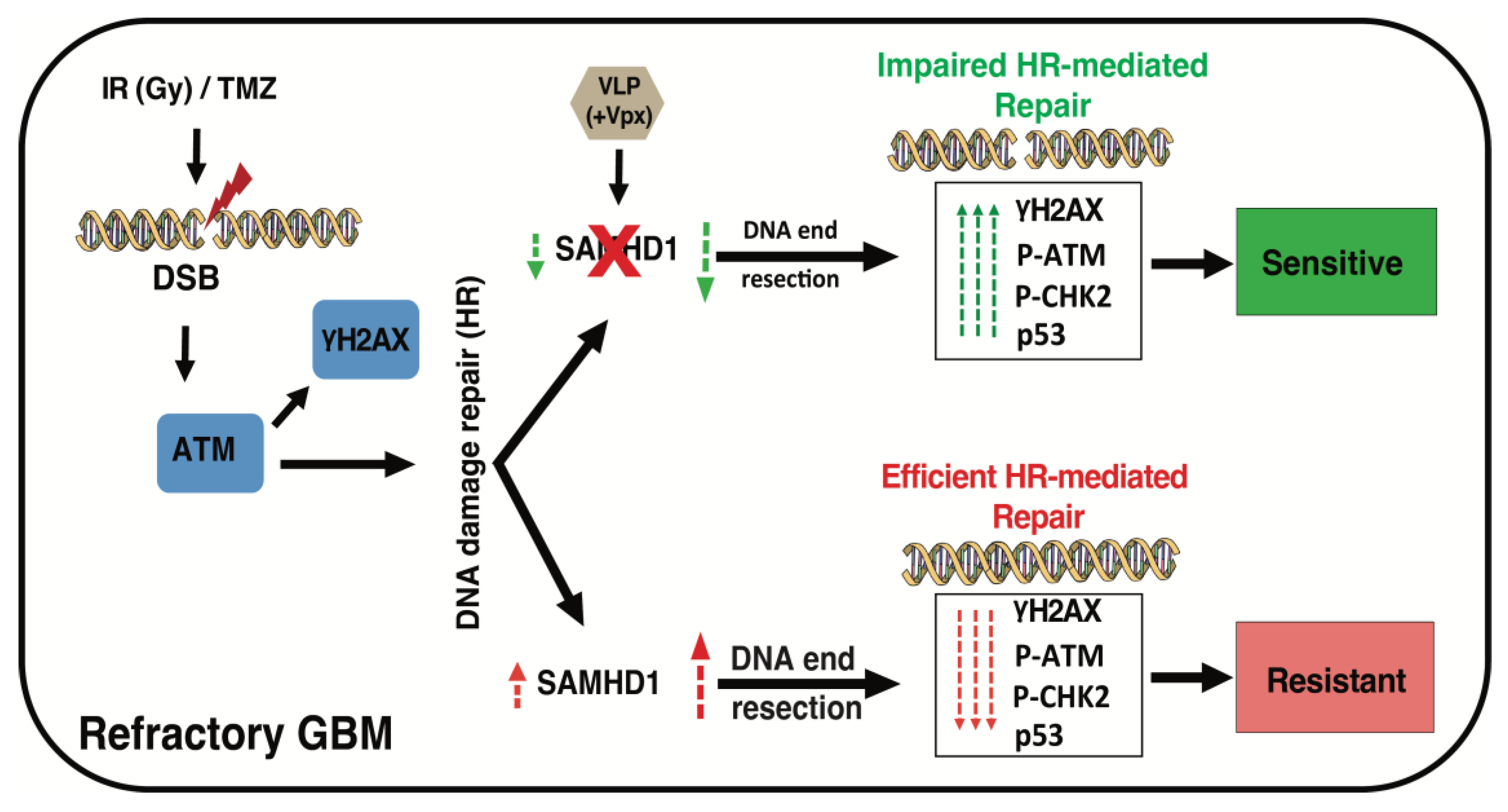 Cancers 14 04490 g006