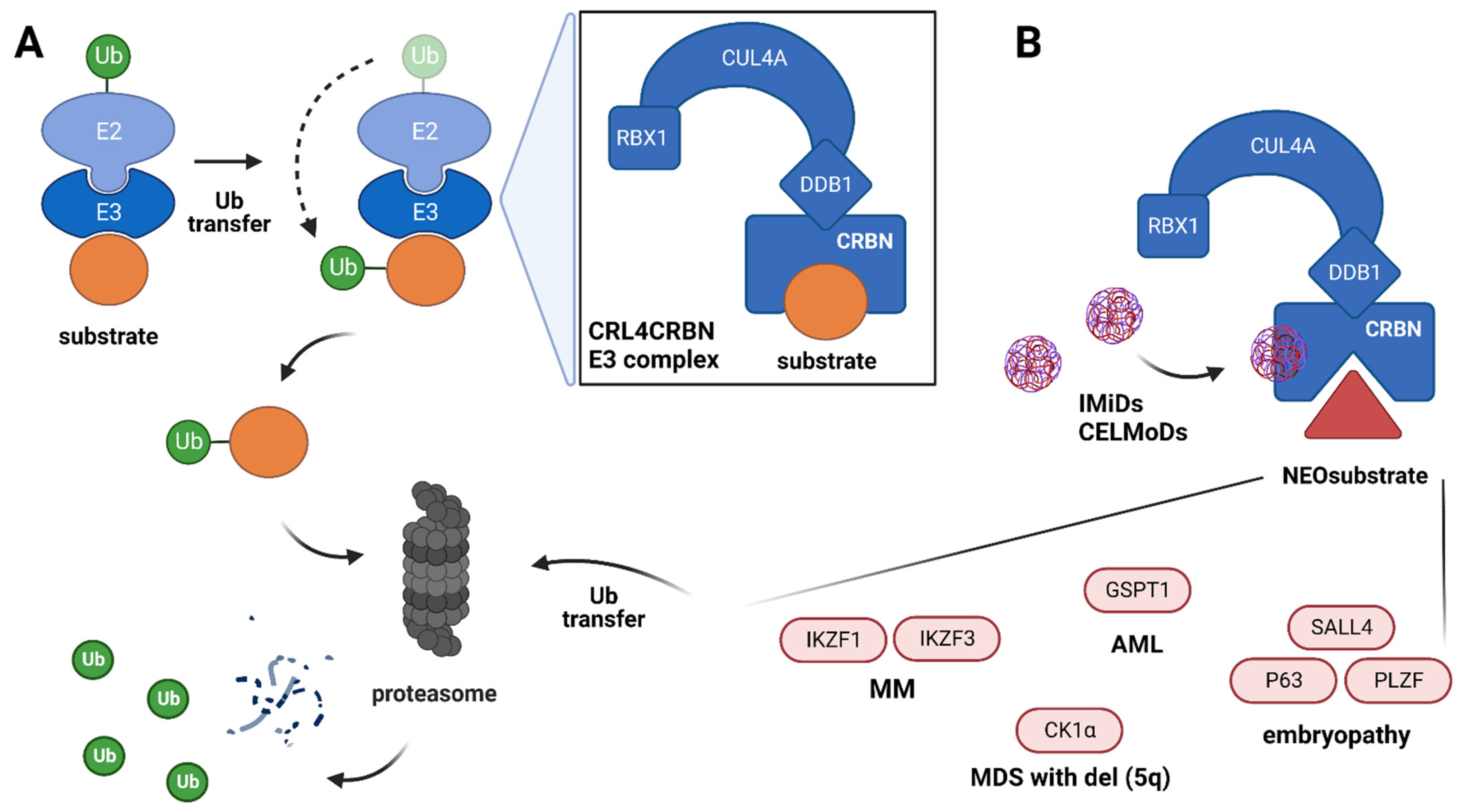 Cancers 14 04492 g001