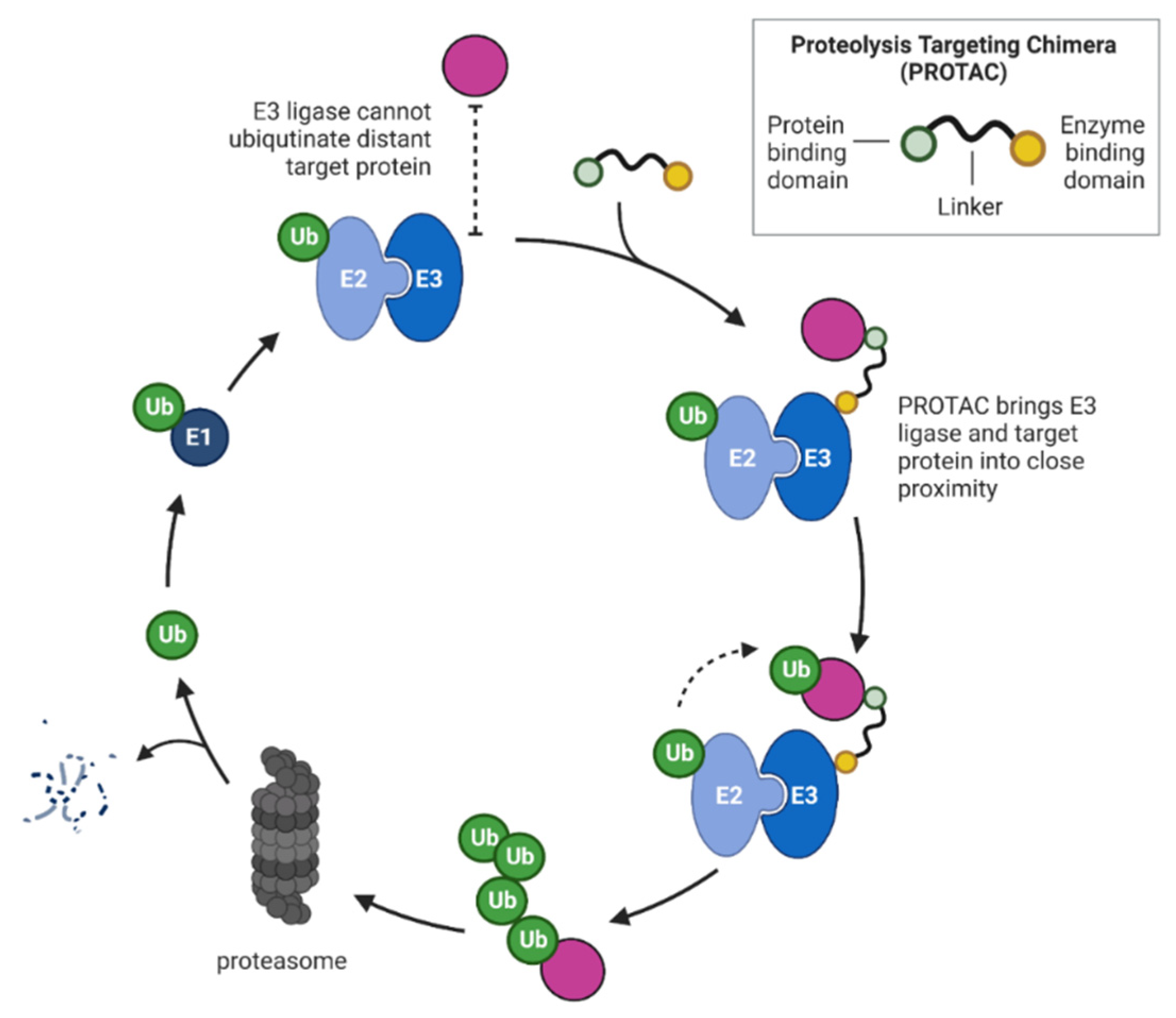 Cancers 14 04492 g003