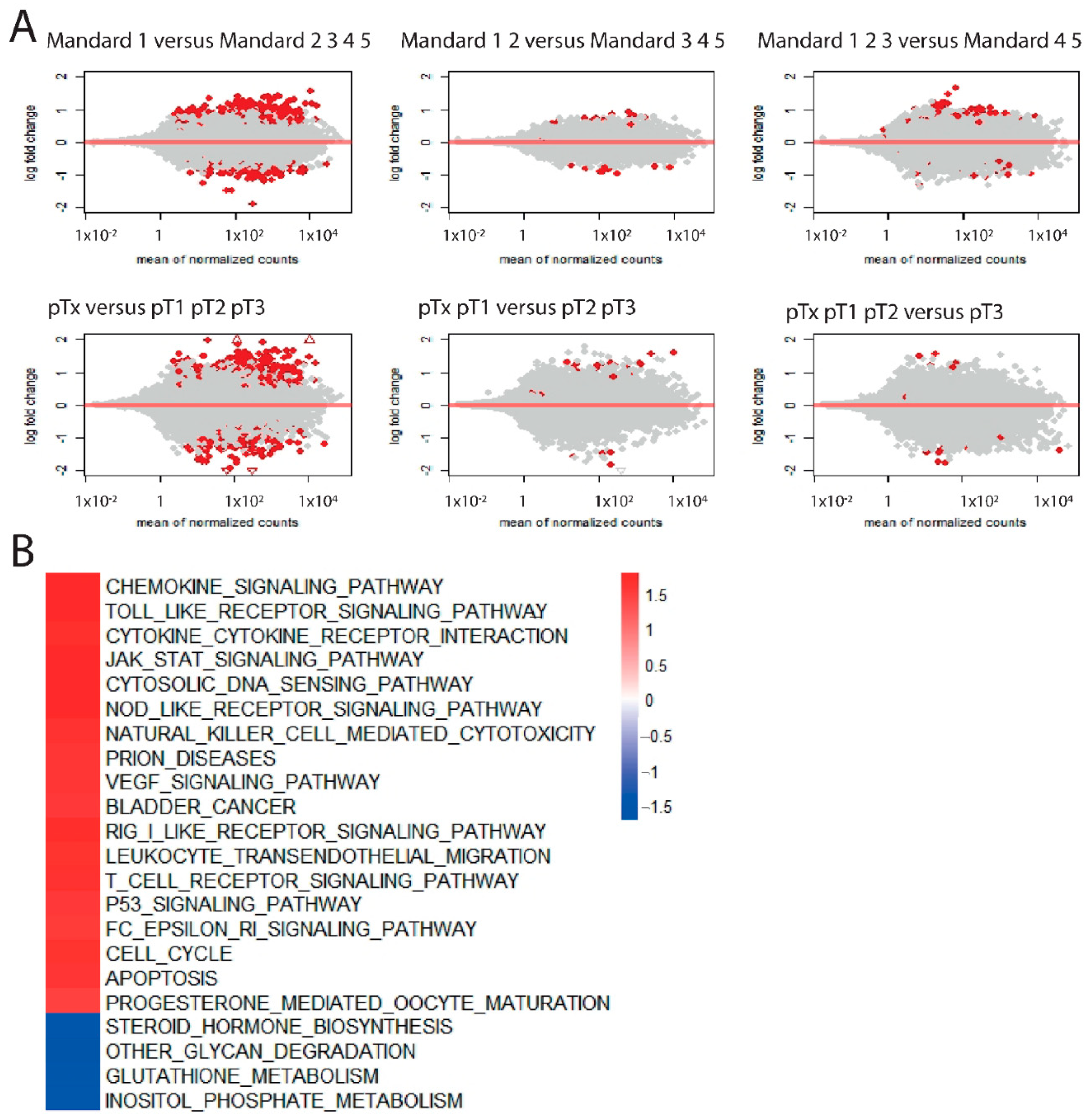 Cancers 14 04498 g004 Cancers 14 04498 g004