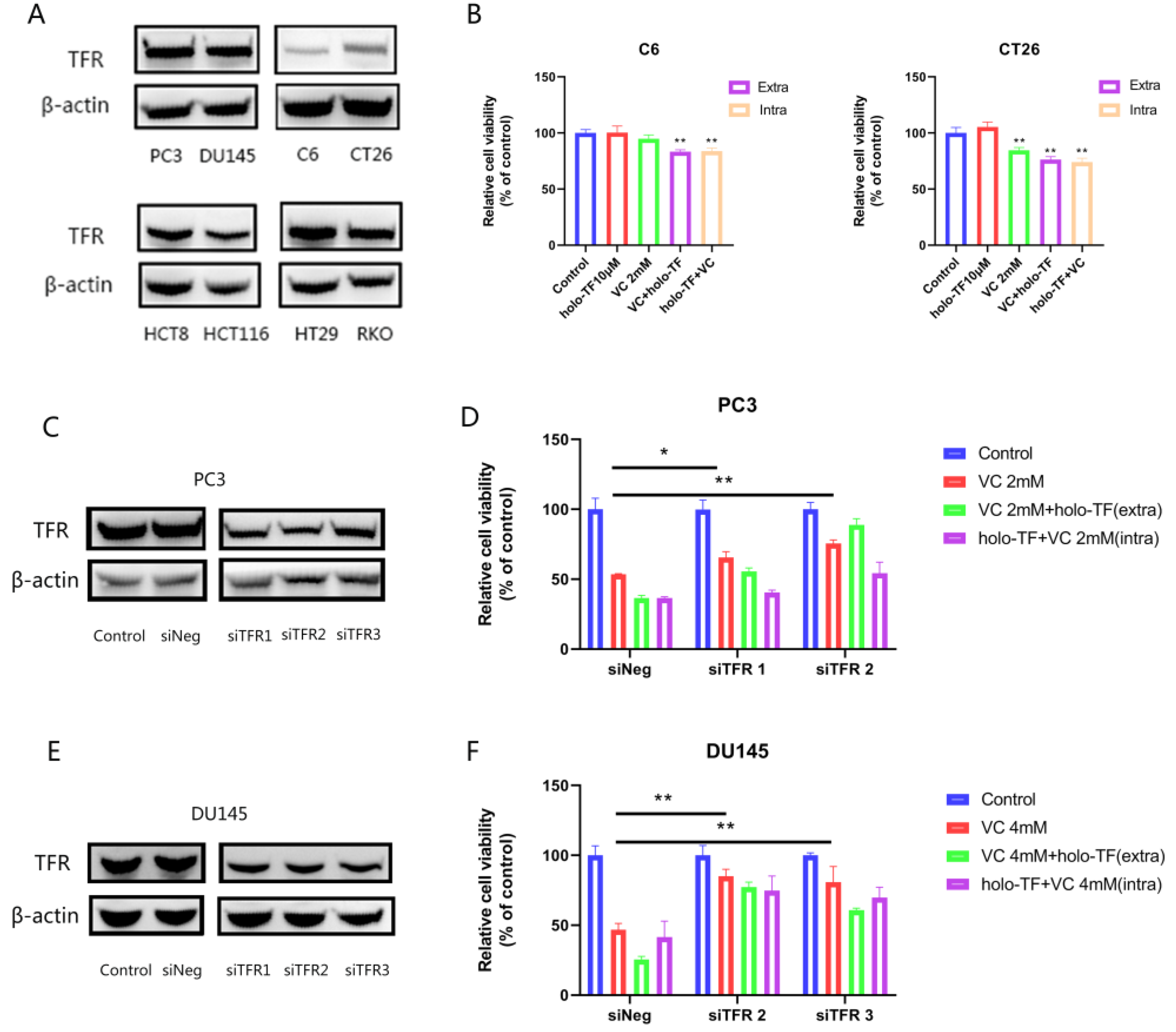 Cancers 14 04507 g005