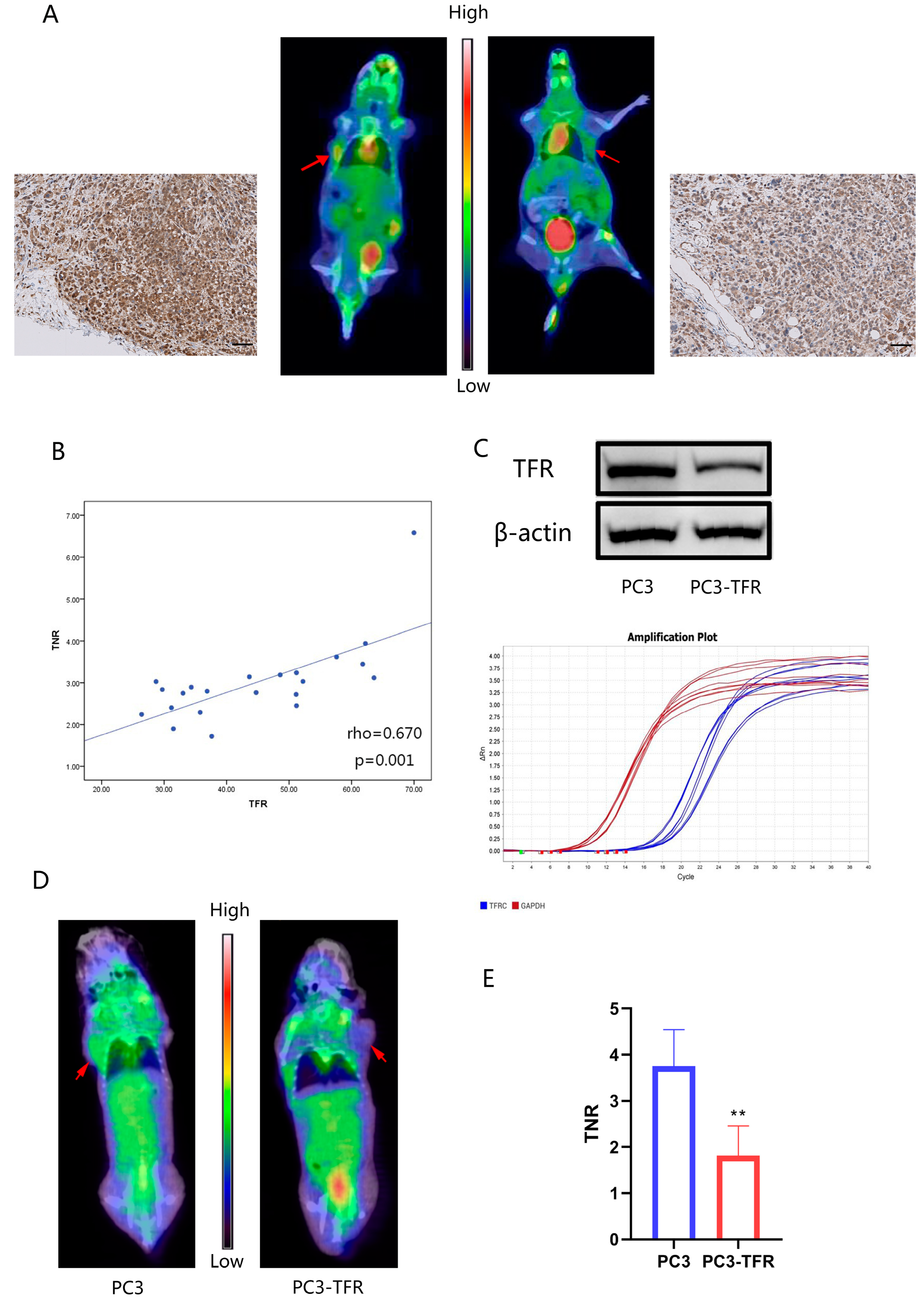 Cancers 14 04507 g006
