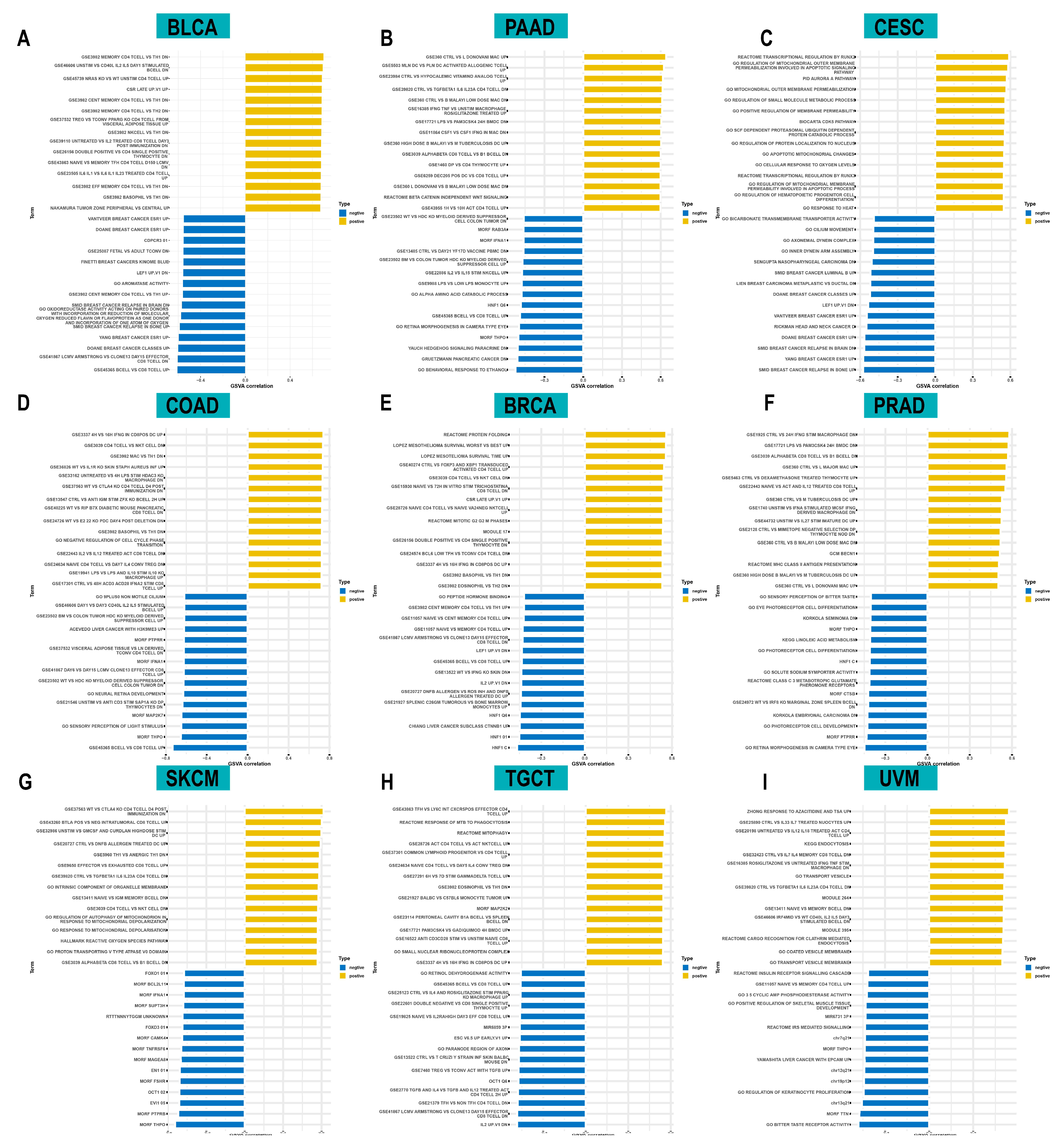 Cancers 14 04522 g006