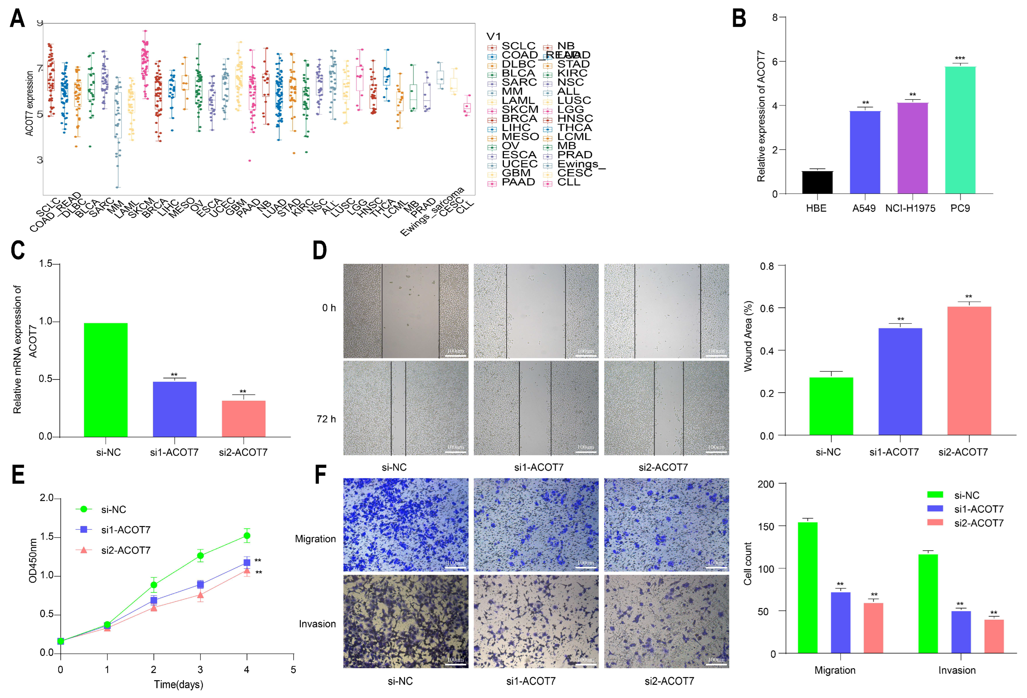 Cancers 14 04522 g011