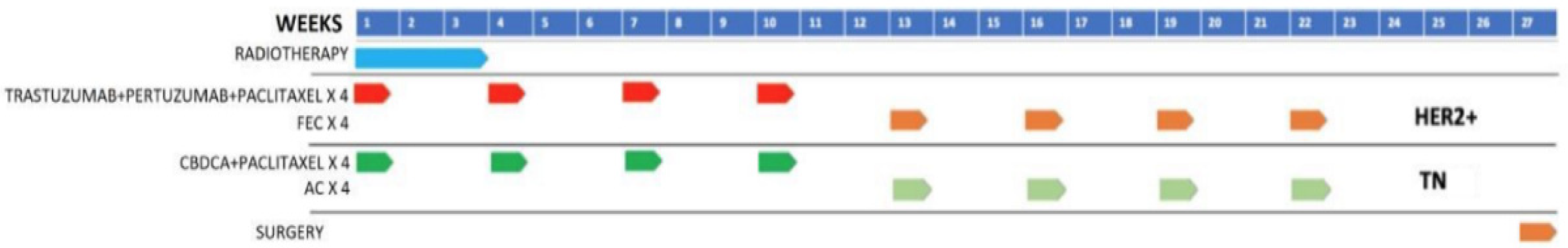 Cancers 14 04531 g002