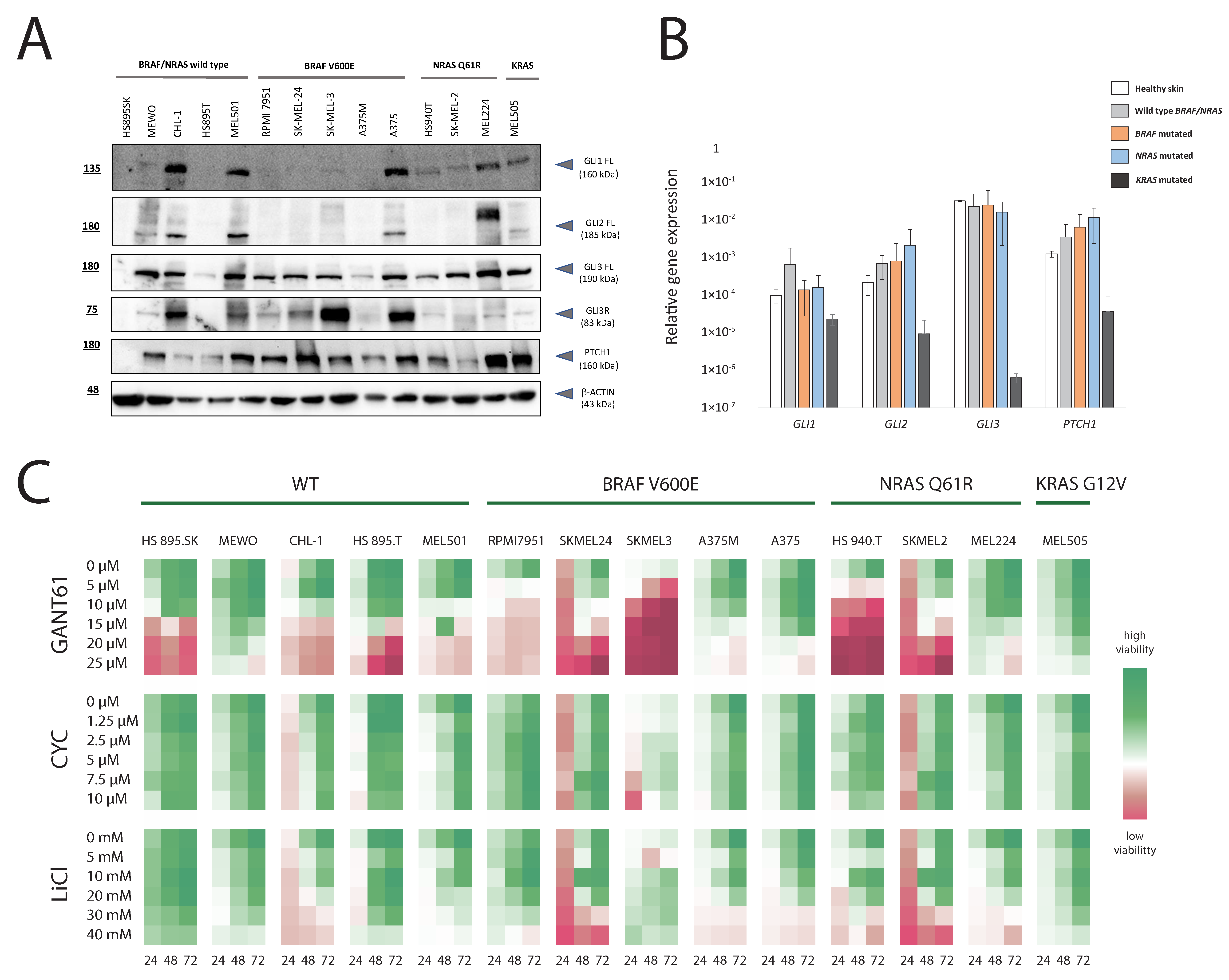 Cancers 14 04540 g001 Cancers 14 04540 g001