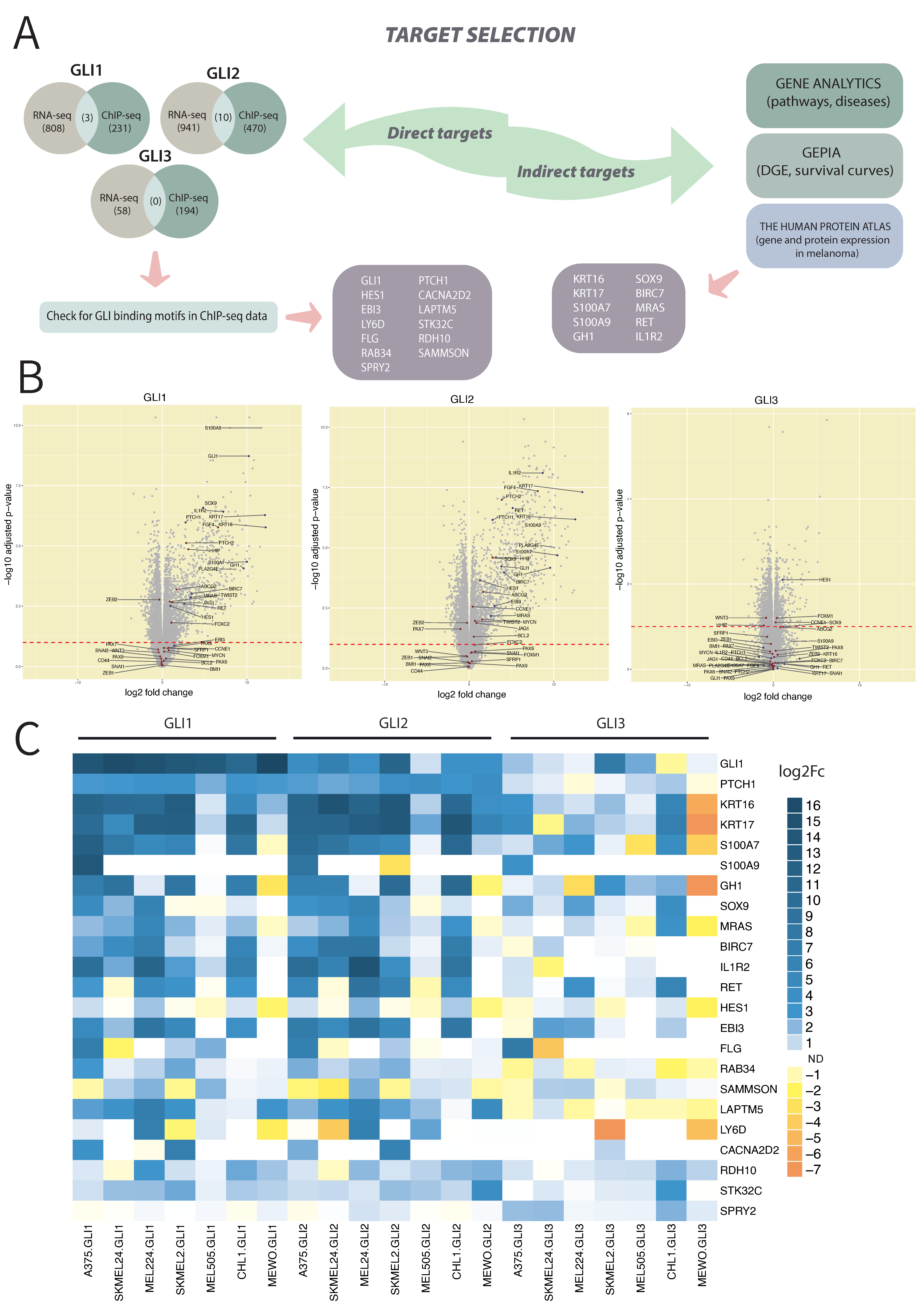 Cancers 14 04540 g004 Cancers 14 04540 g004