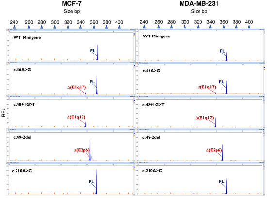 Cancers 14 04541 g002