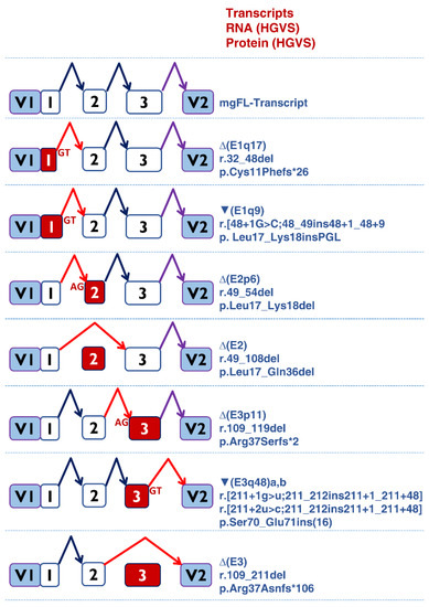 Cancers 14 04541 g003