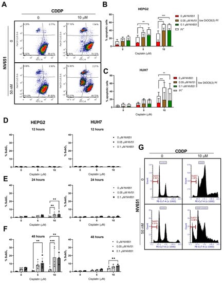 Cancers 14 04553 g004