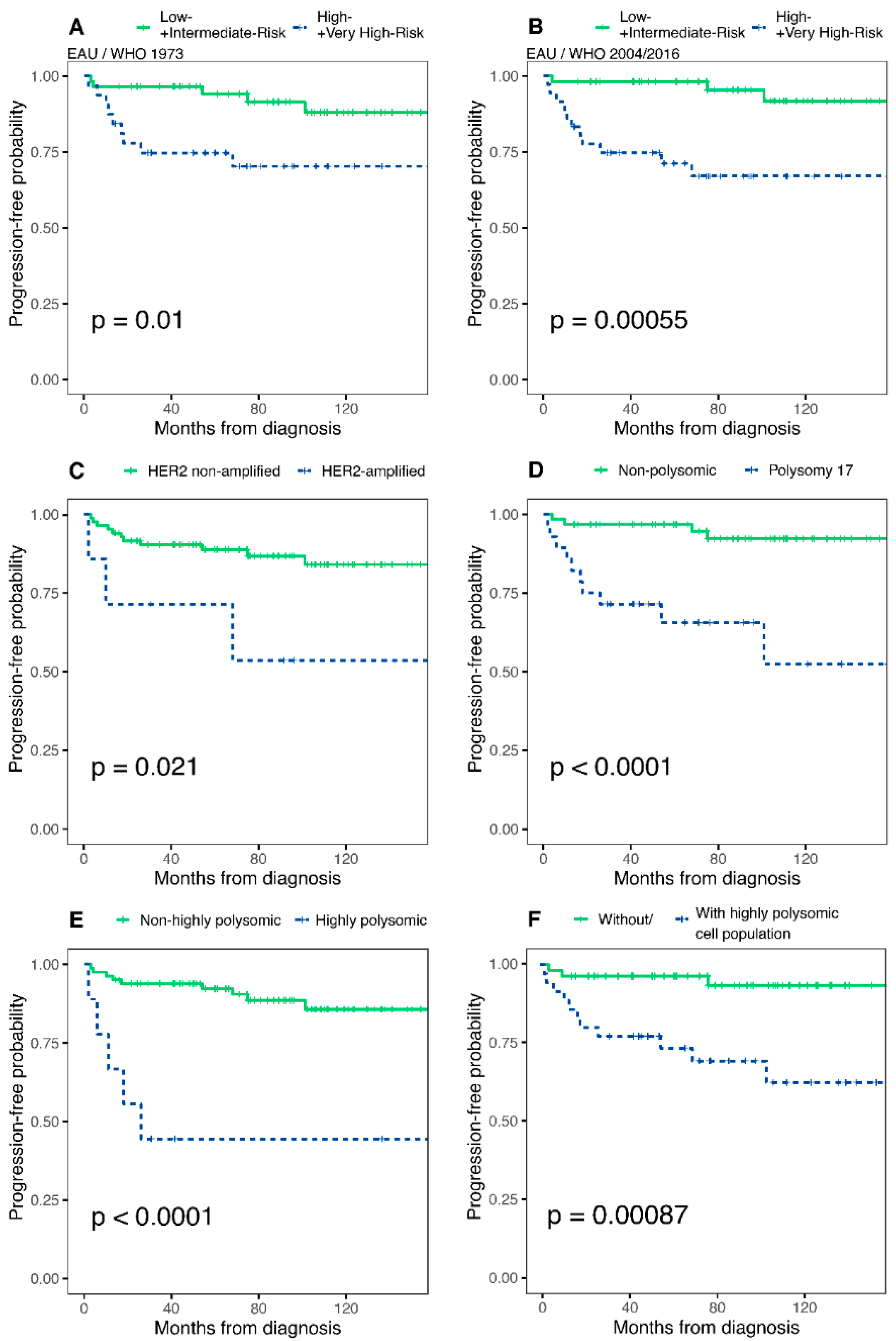 Cancers 14 04570 g002