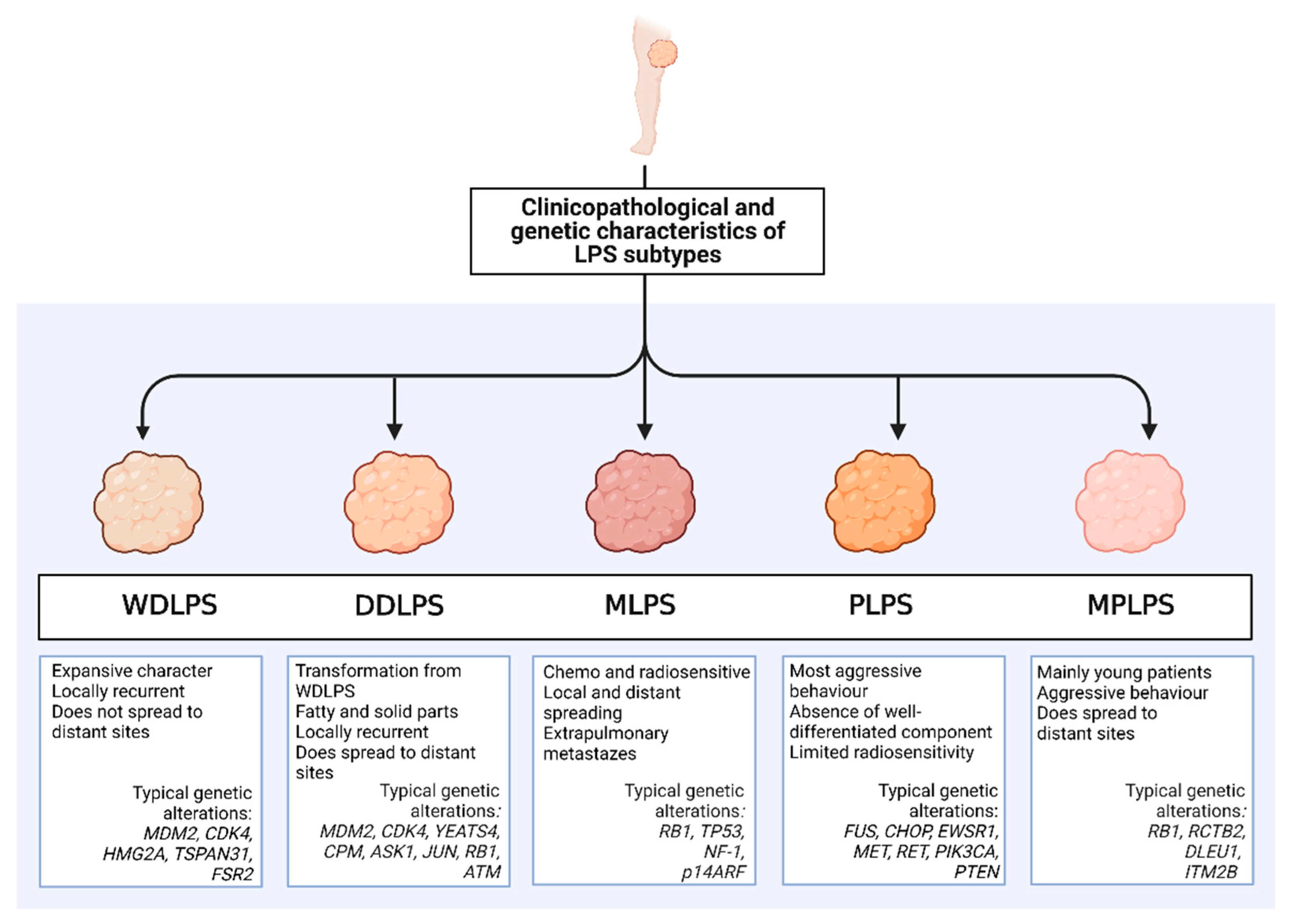 Cancers 14 04578 g001