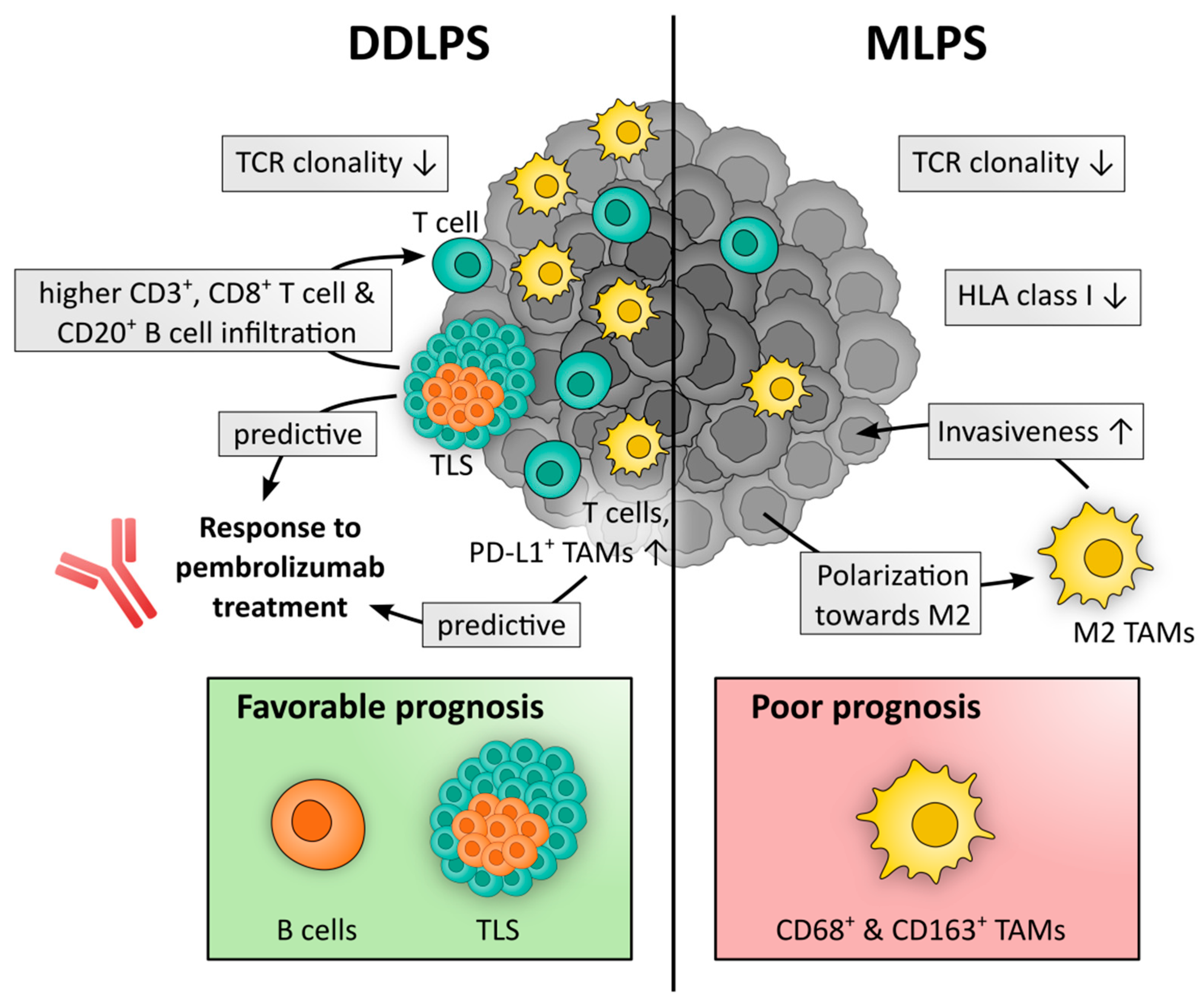 Cancers 14 04578 g002