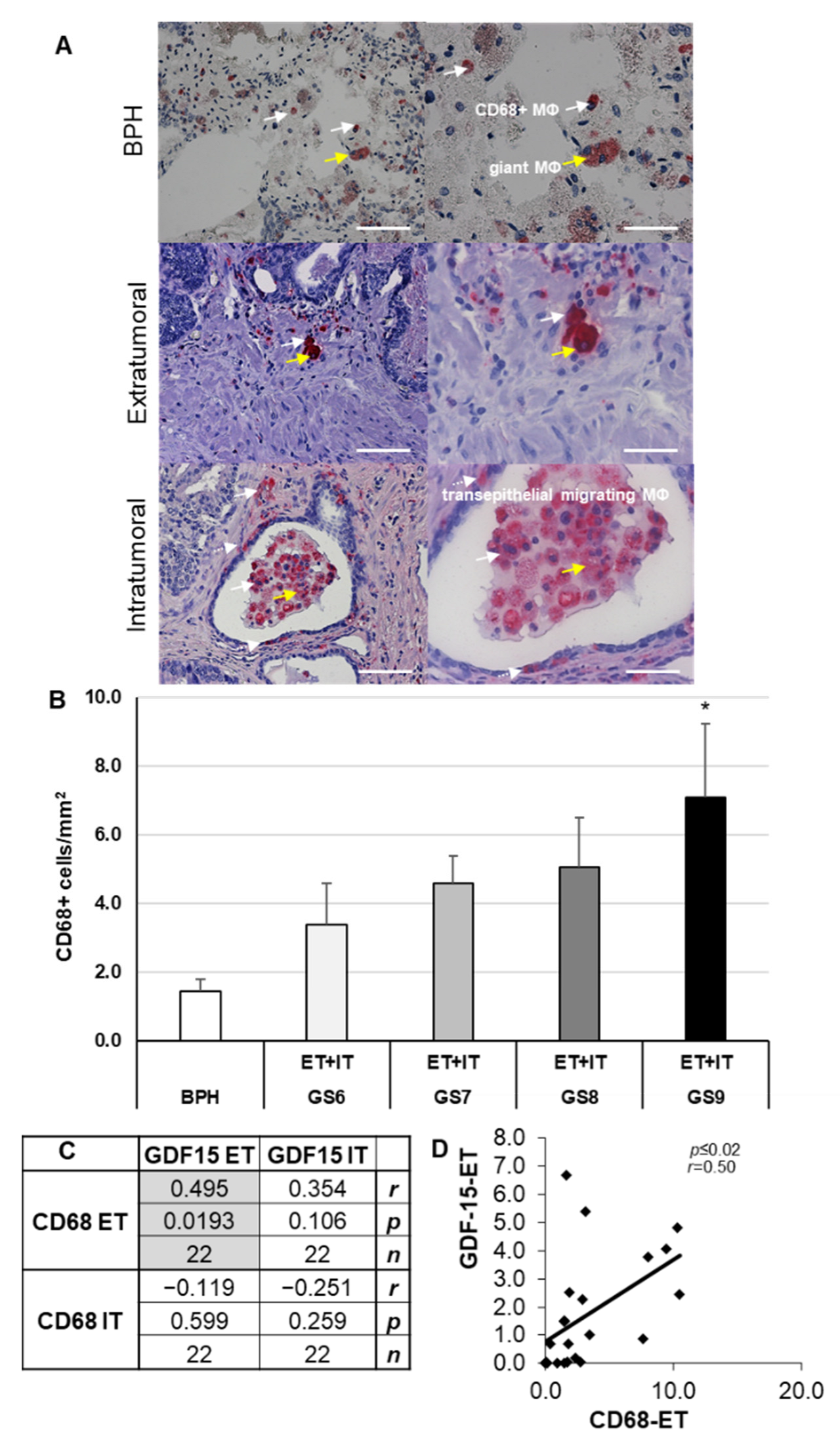 Cancers 14 04591 g003