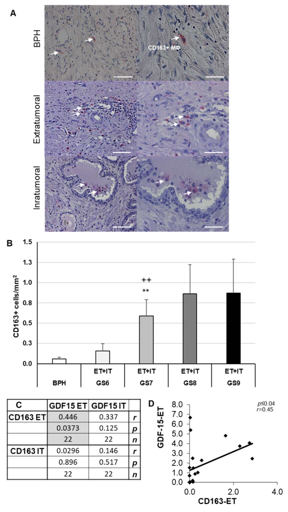 Cancers 14 04591 g004