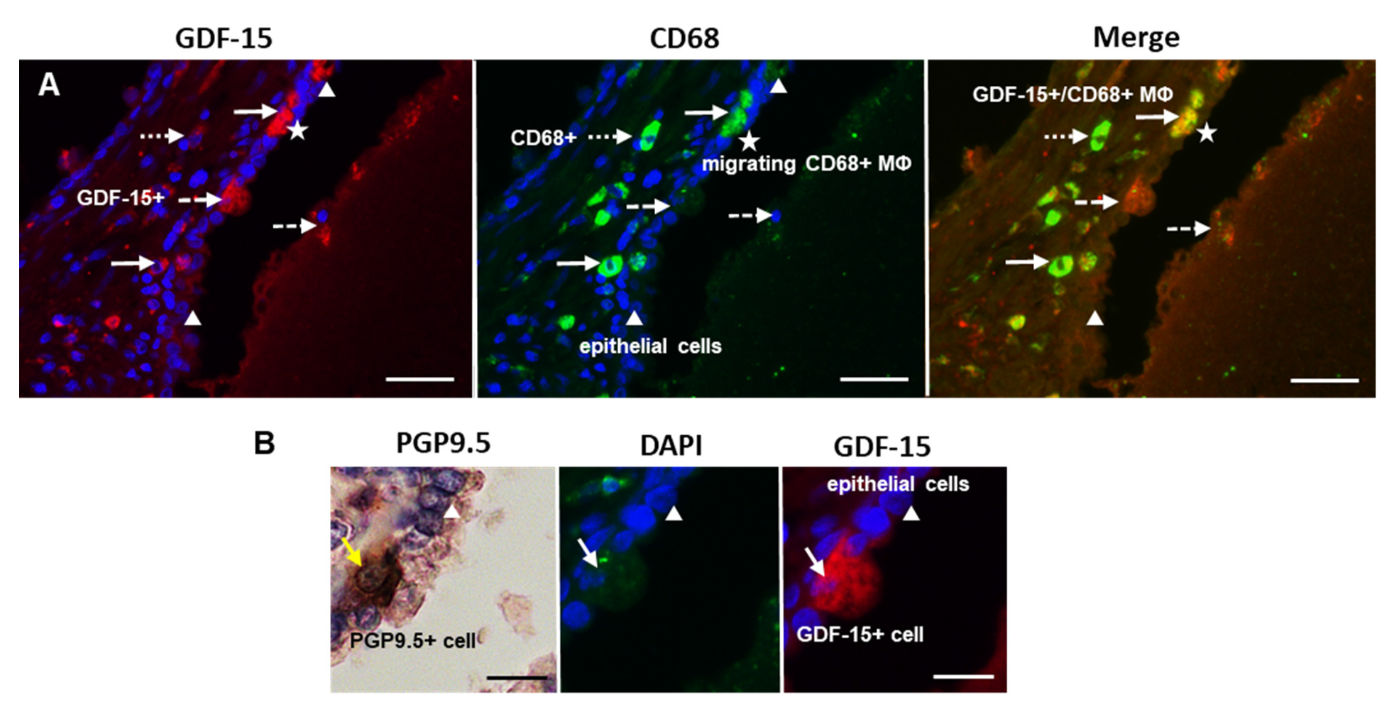 Cancers 14 04591 g005