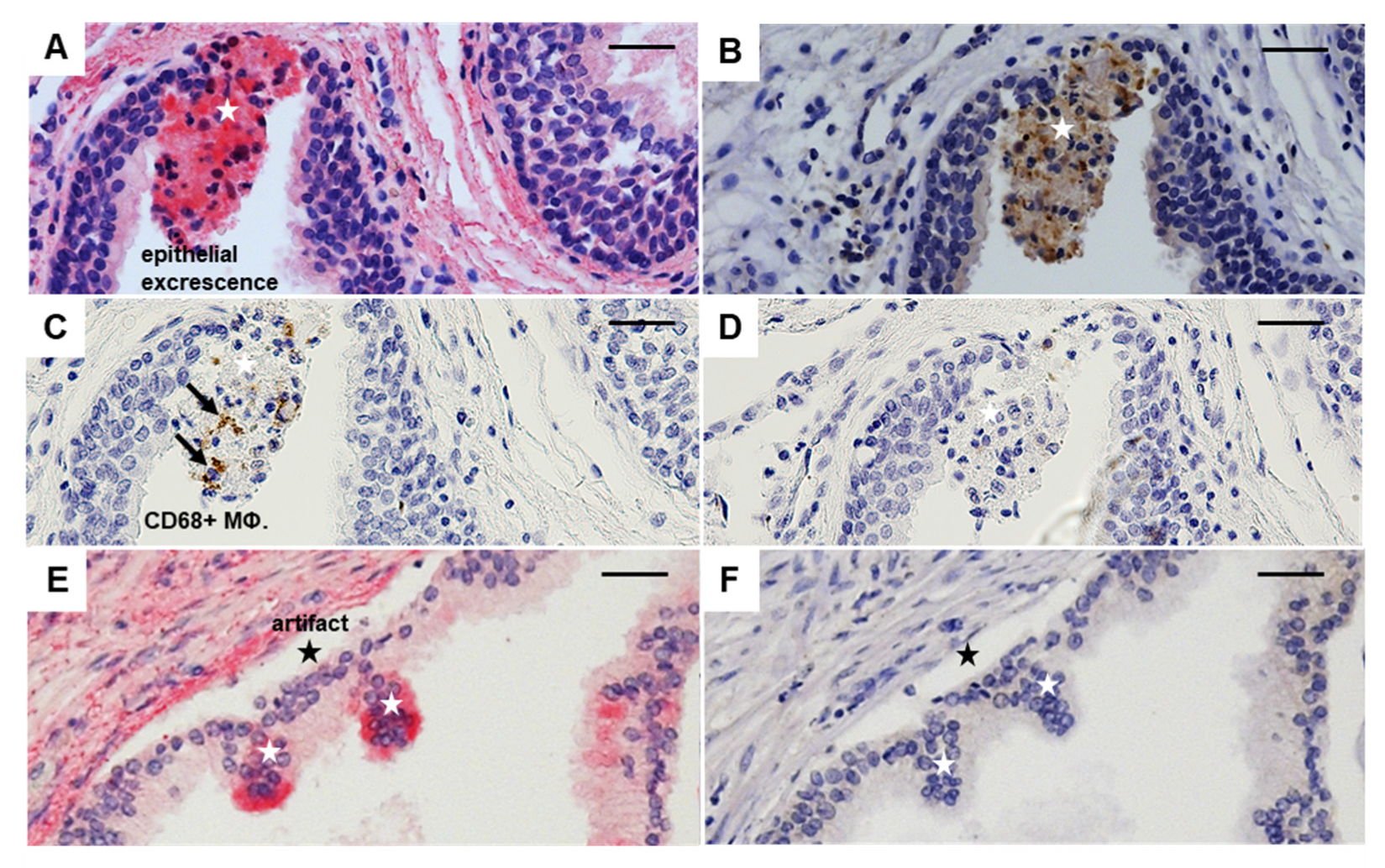 Cancers 14 04591 g007