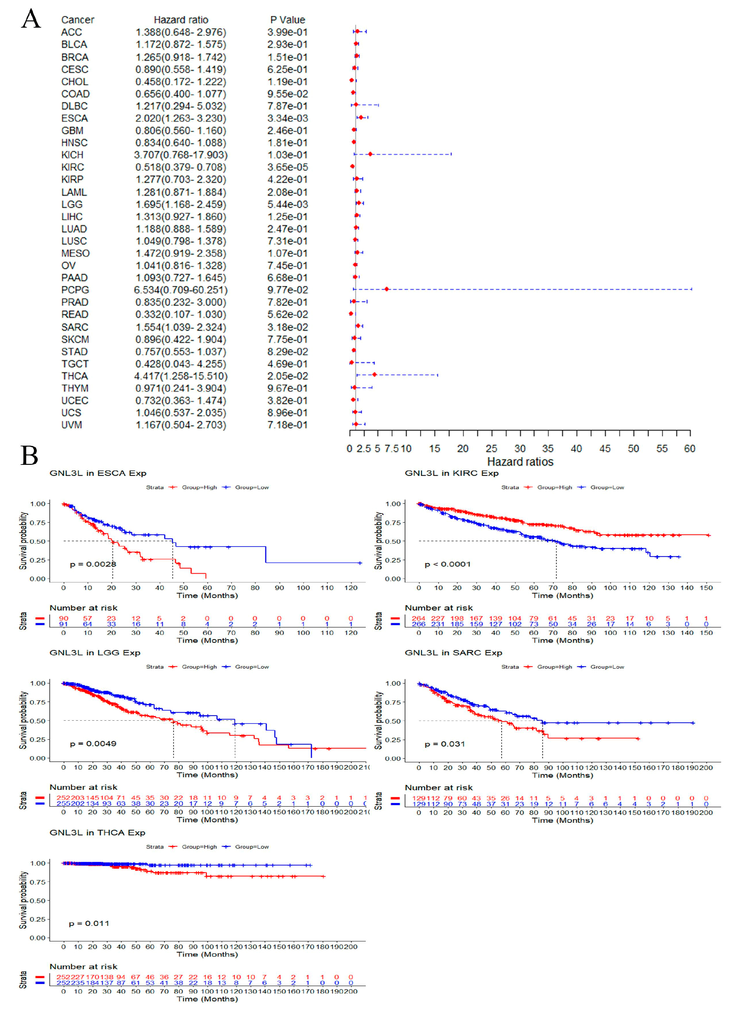 Cancers 14 04595 g005 Cancers 14 04595 g005