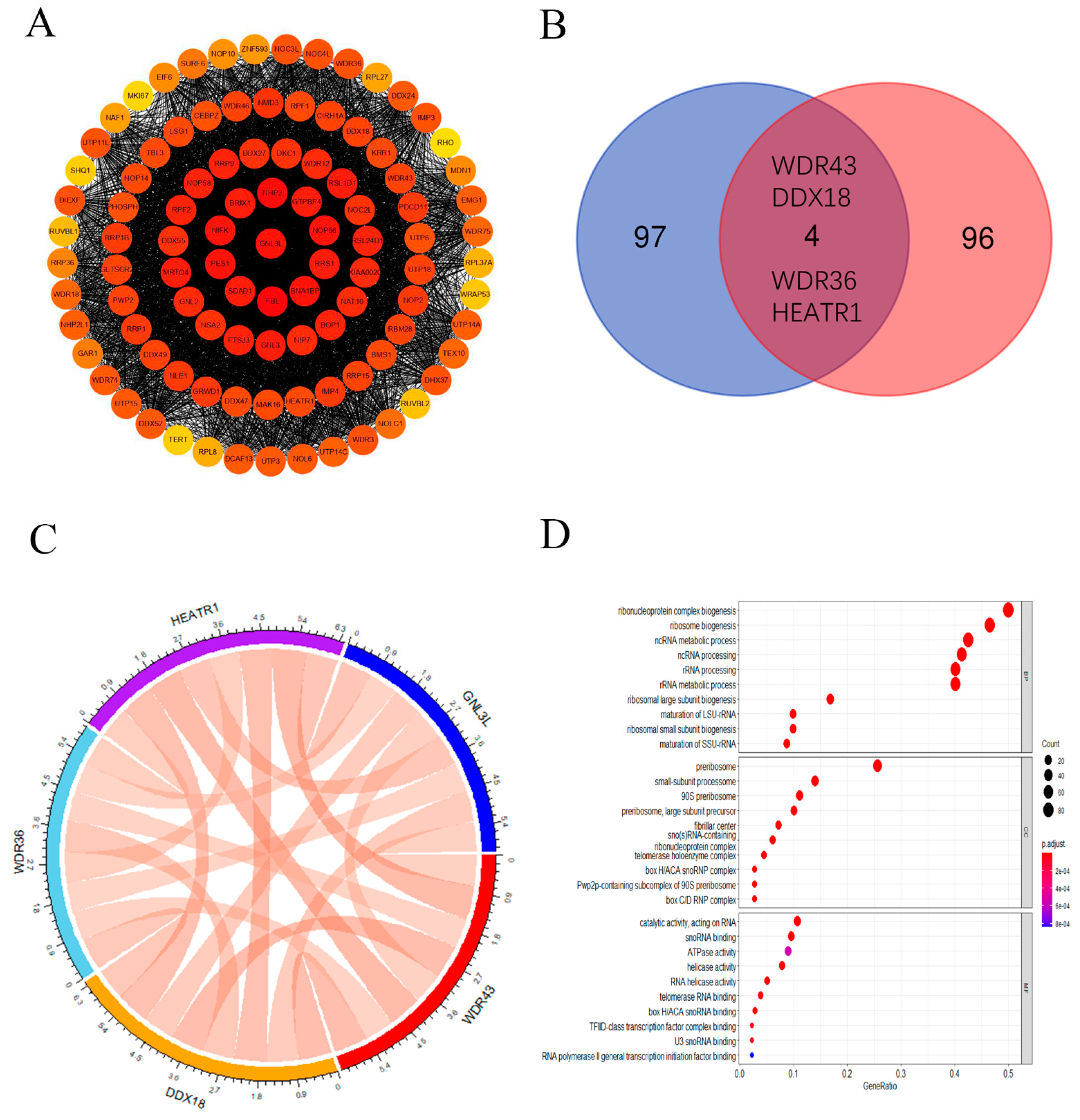 Cancers 14 04595 g010 Cancers 14 04595 g010