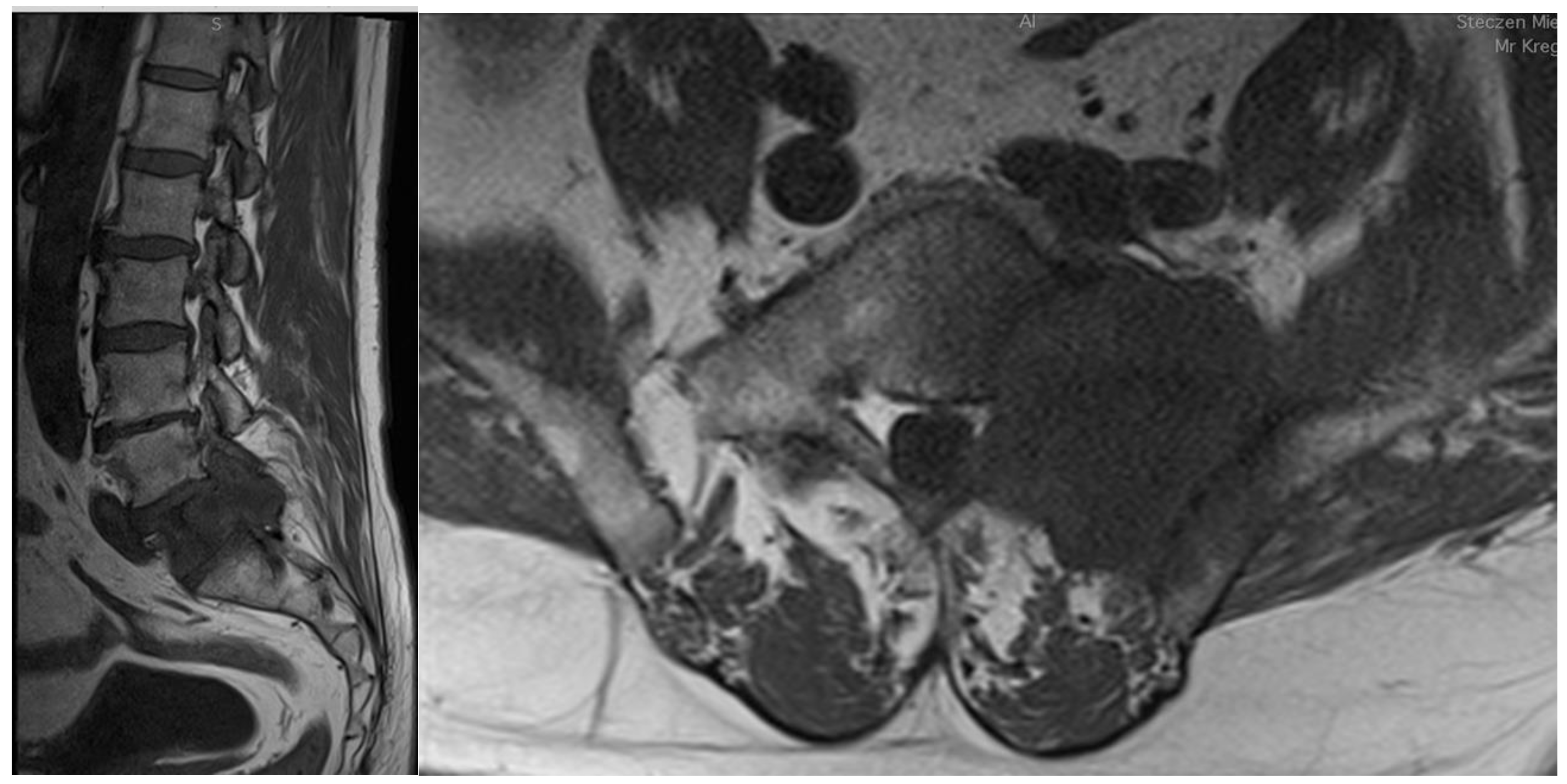 Cancers 14 04599 g001