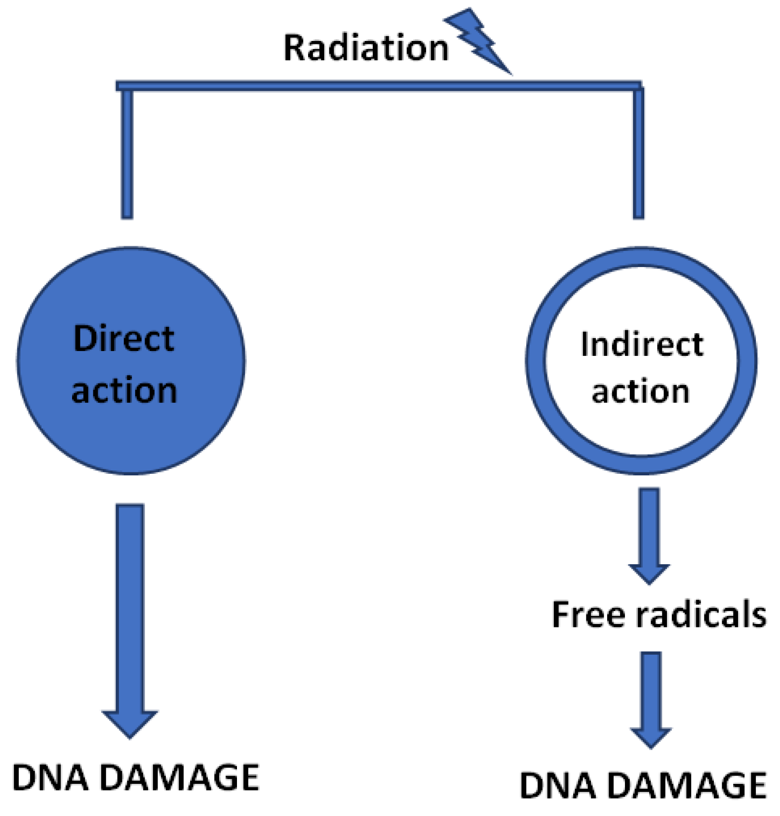 Cancers 14 04599 g004