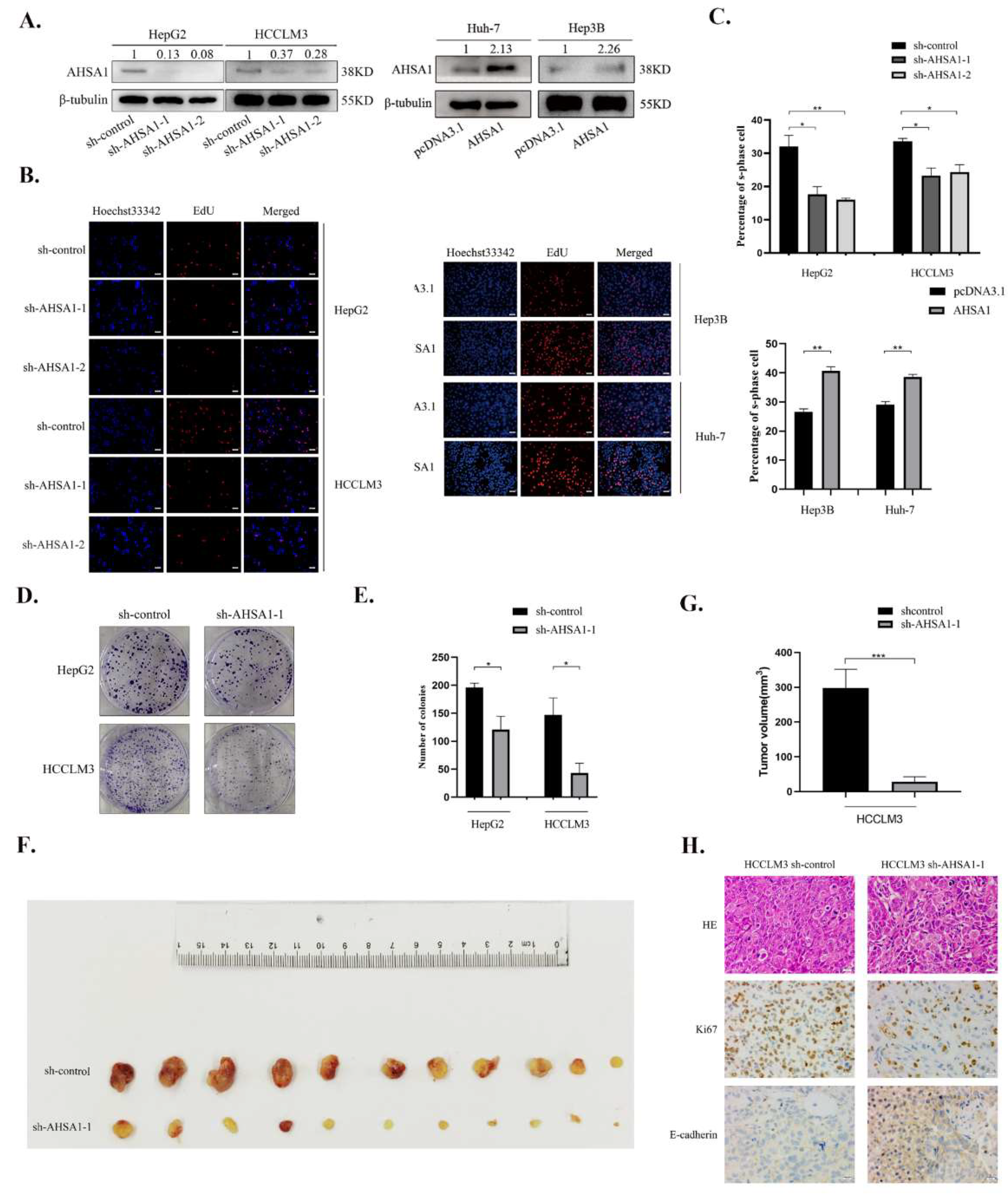 Cancers 14 04600 g002