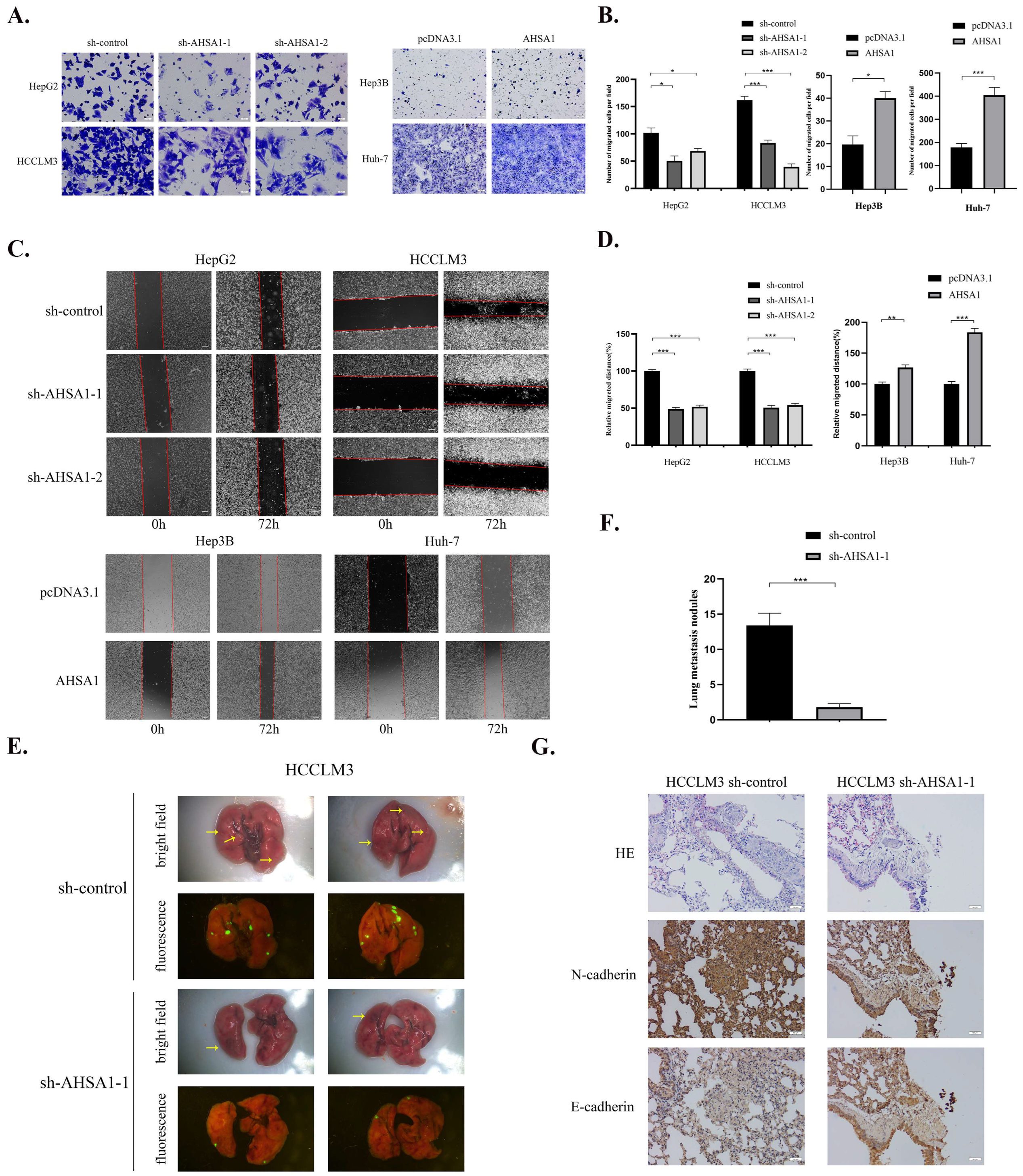Cancers 14 04600 g003