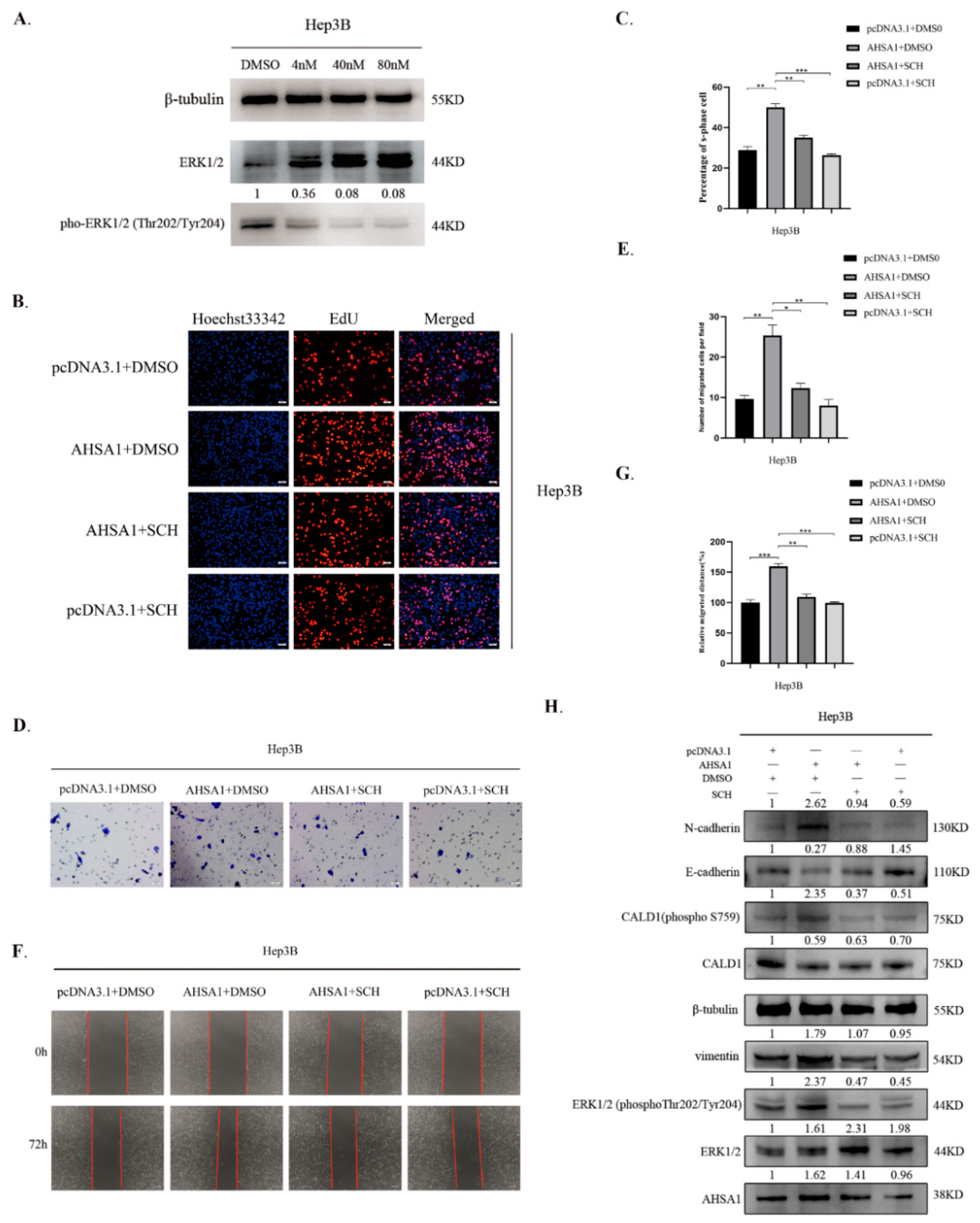 Cancers 14 04600 g005