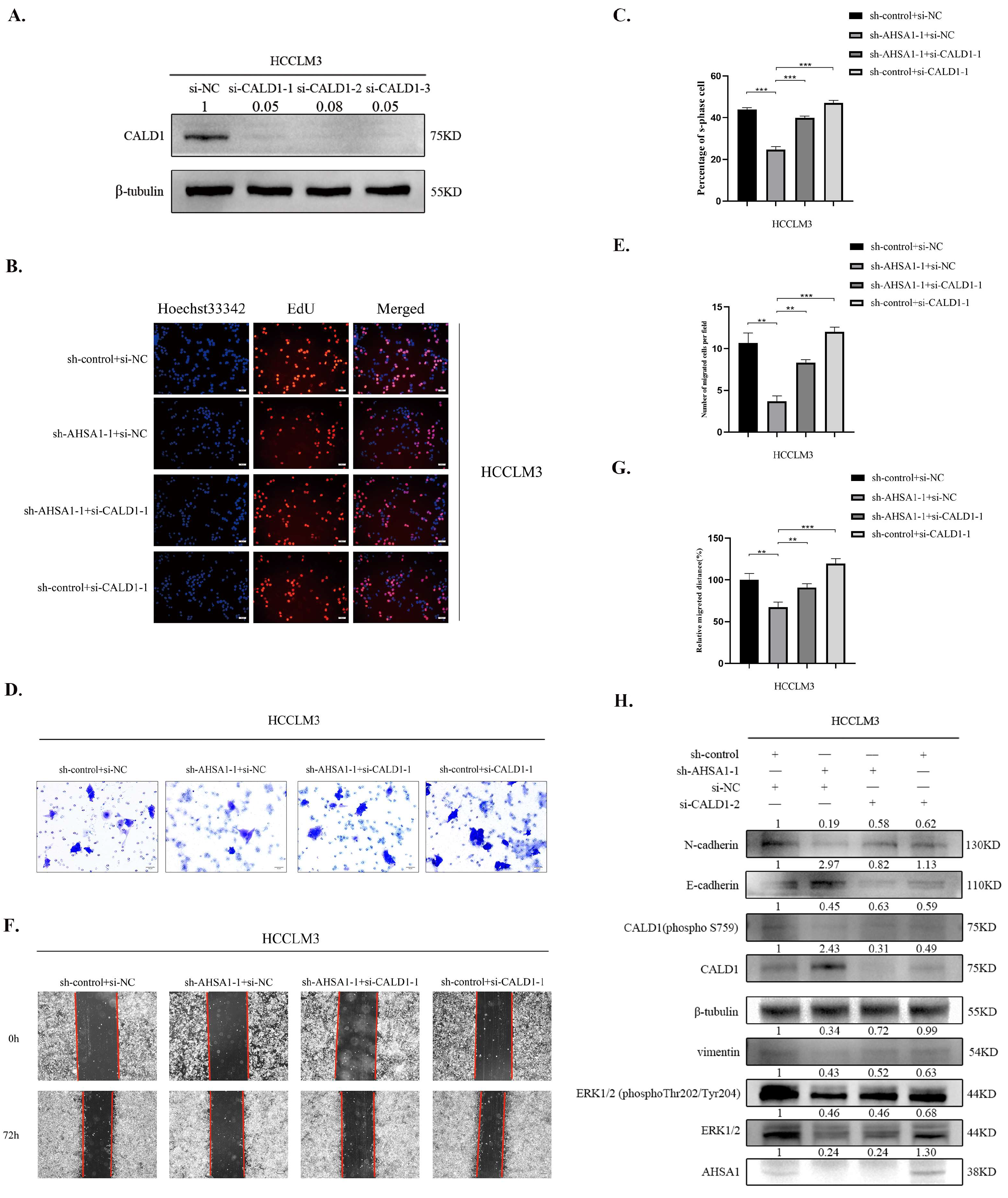 Cancers 14 04600 g006