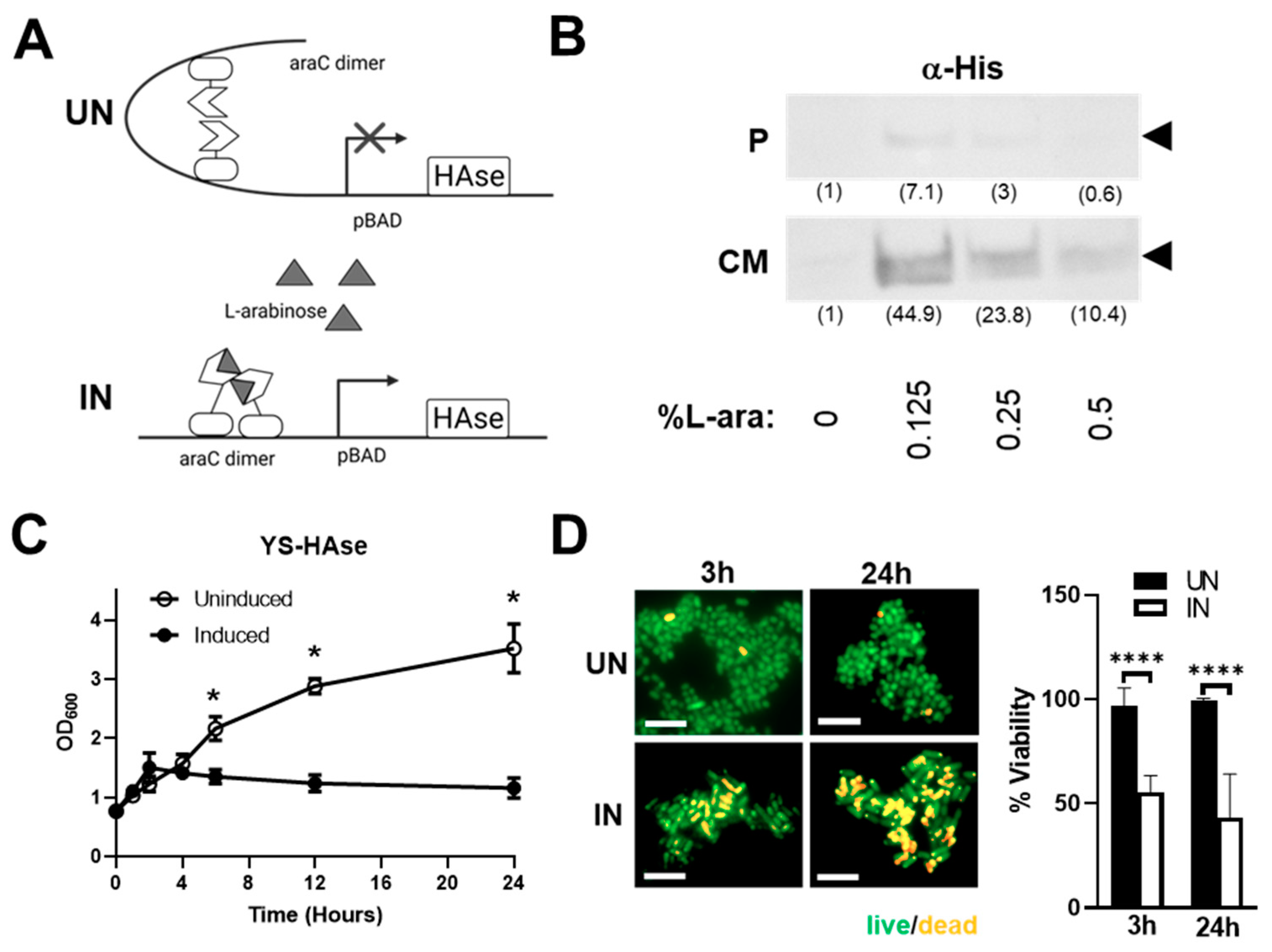 Cancers 14 04614 g001