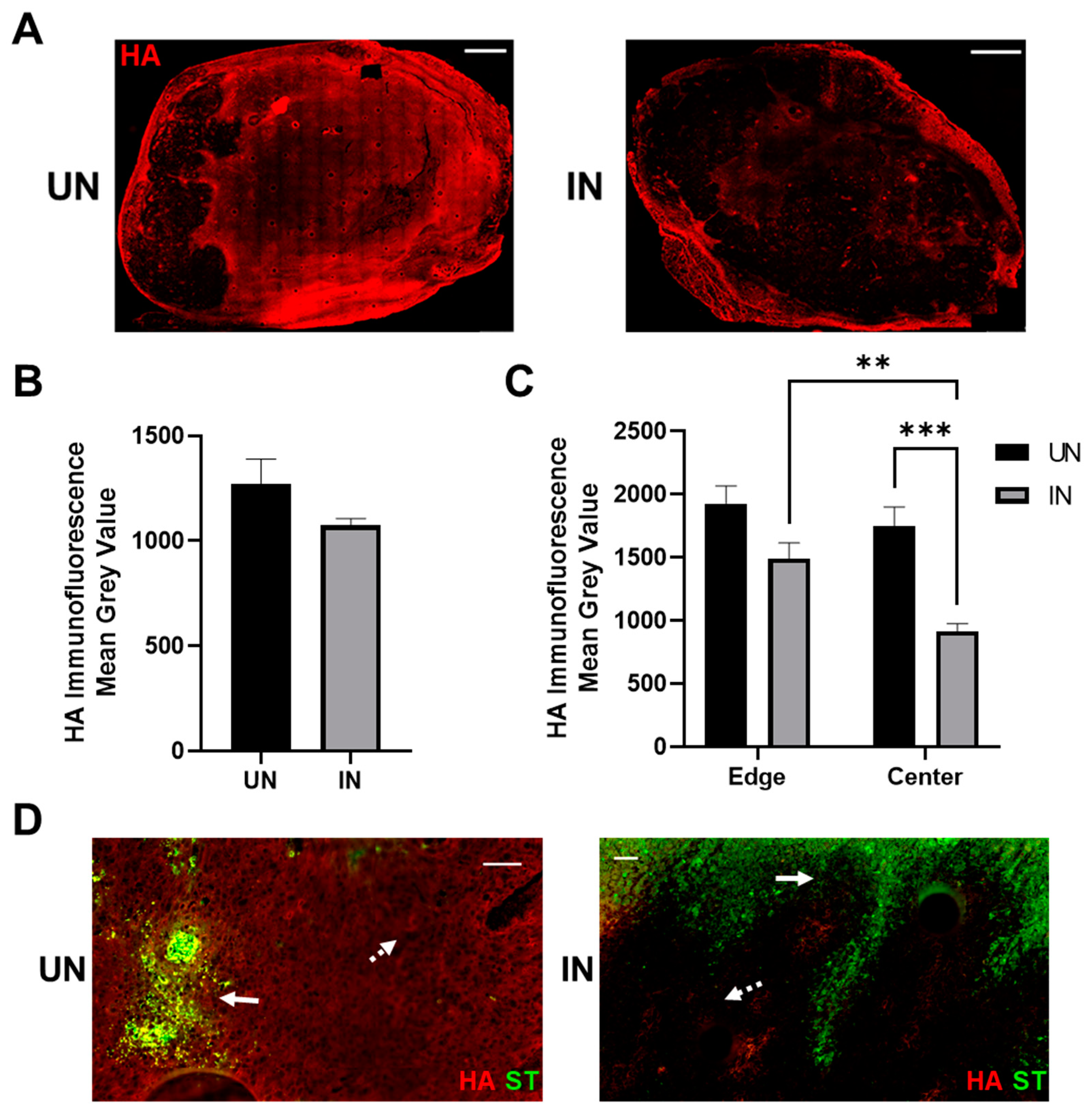 Cancers 14 04614 g005