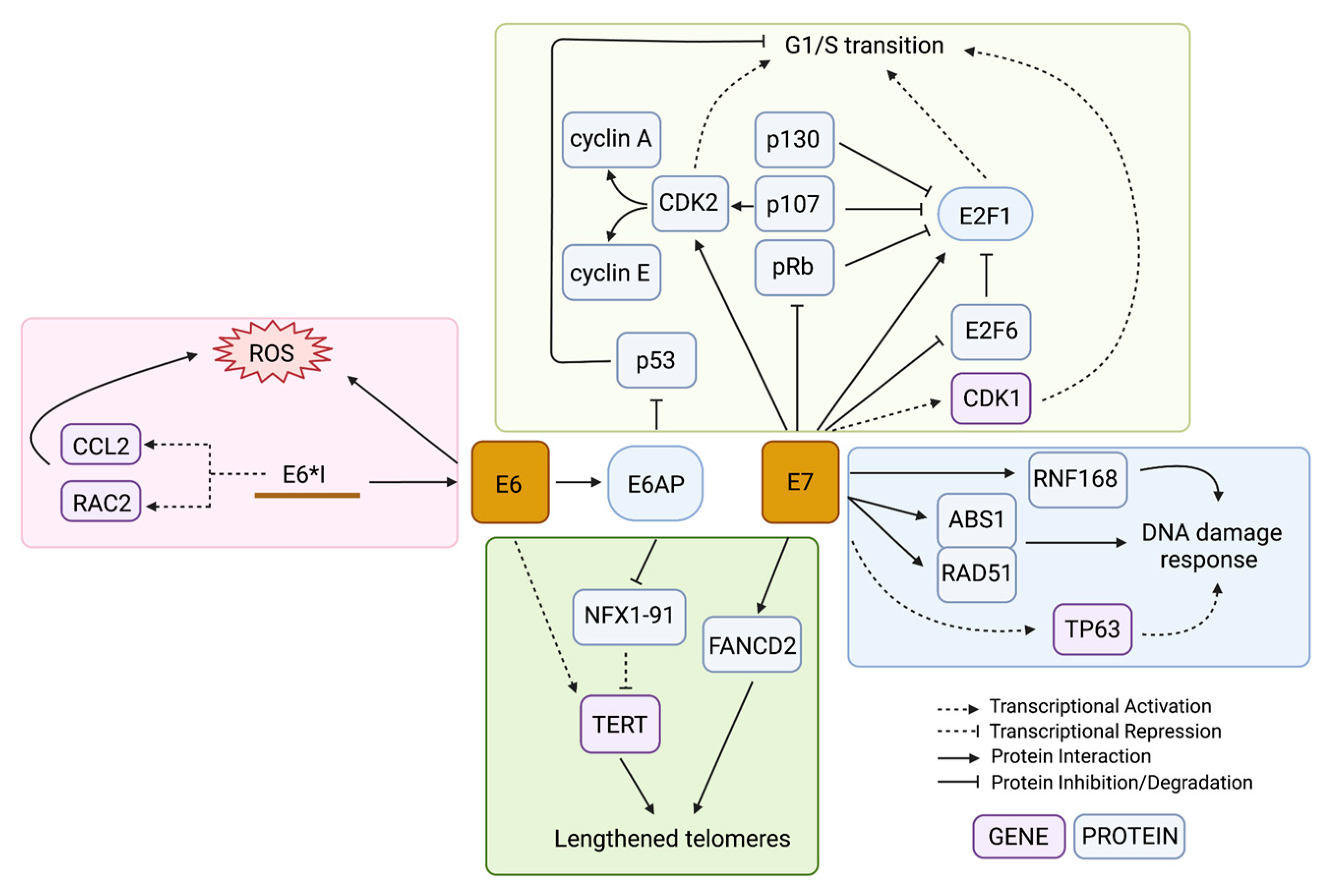 Cancers 14 04623 g003