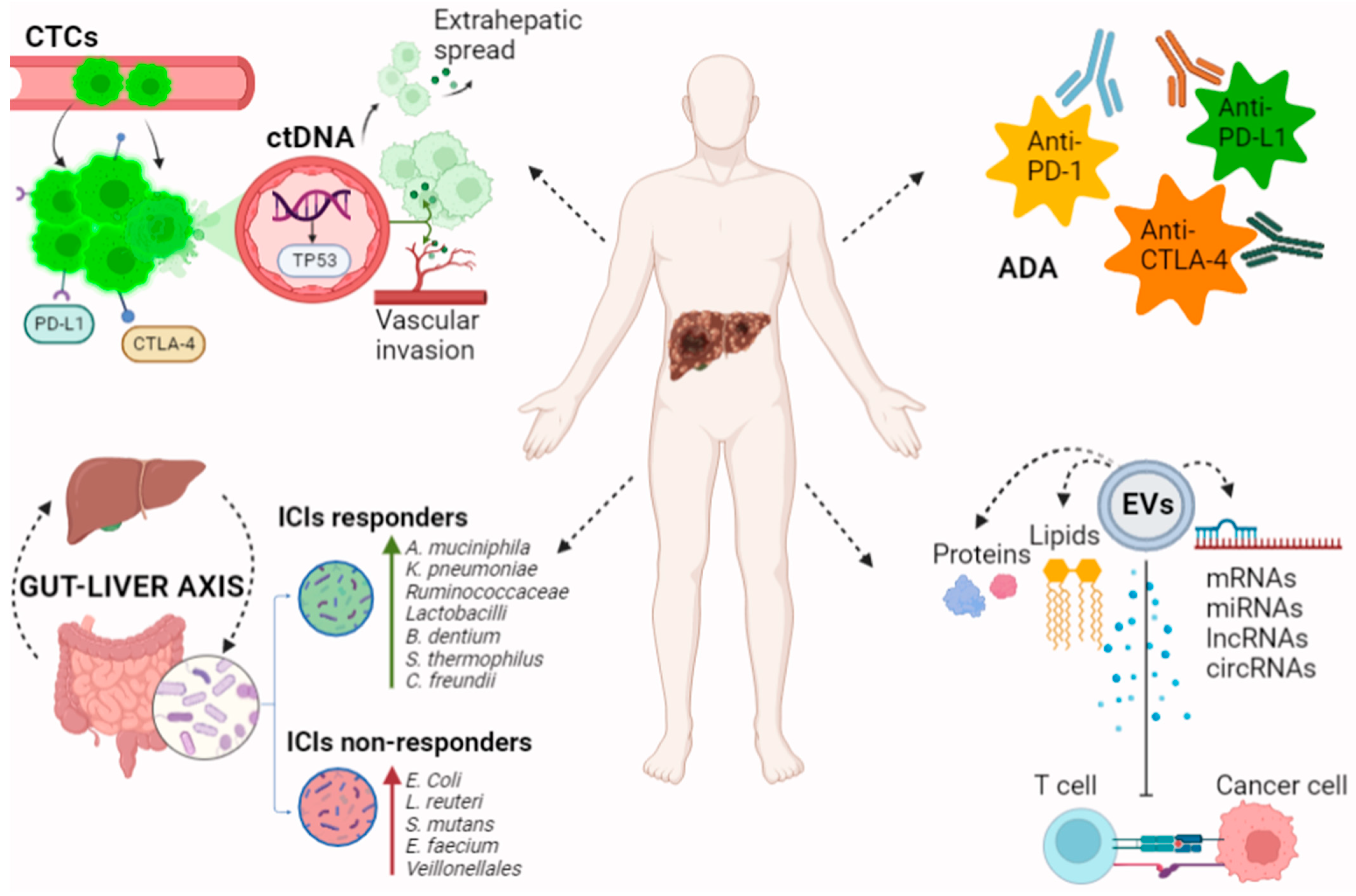 Cancers 14 04631 g001