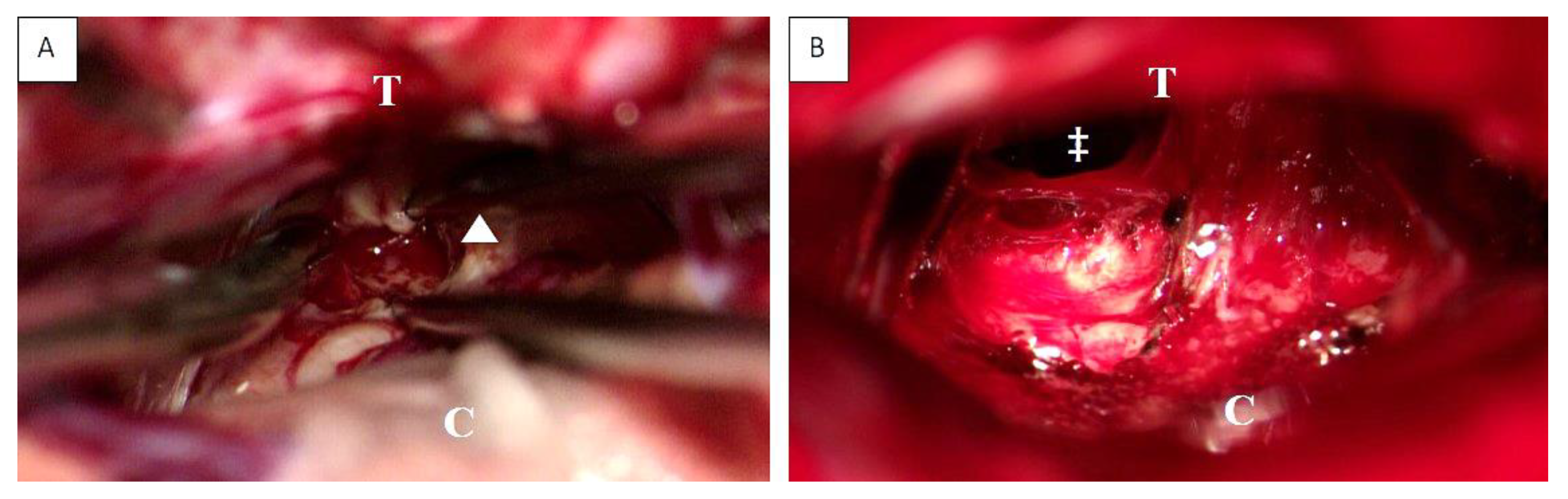 Cancers 14 04634 g003 Cancers 14 04634 g003