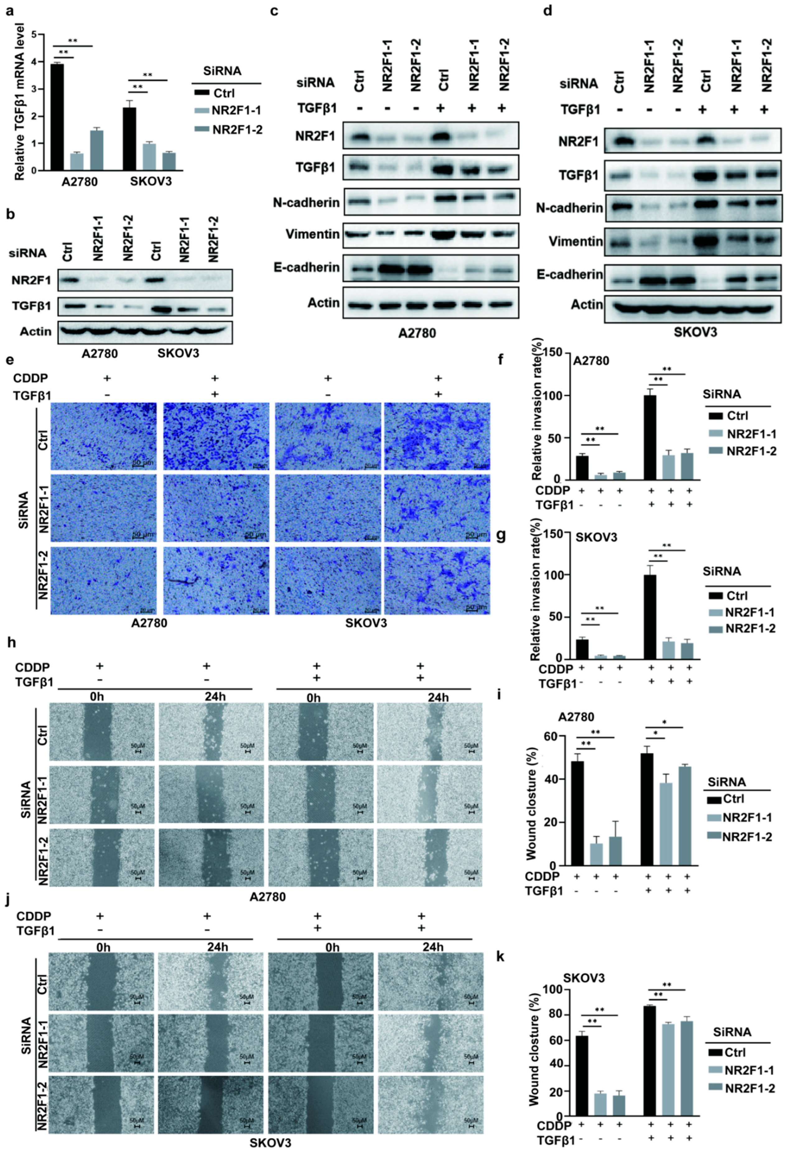 Cancers 14 04639 g006