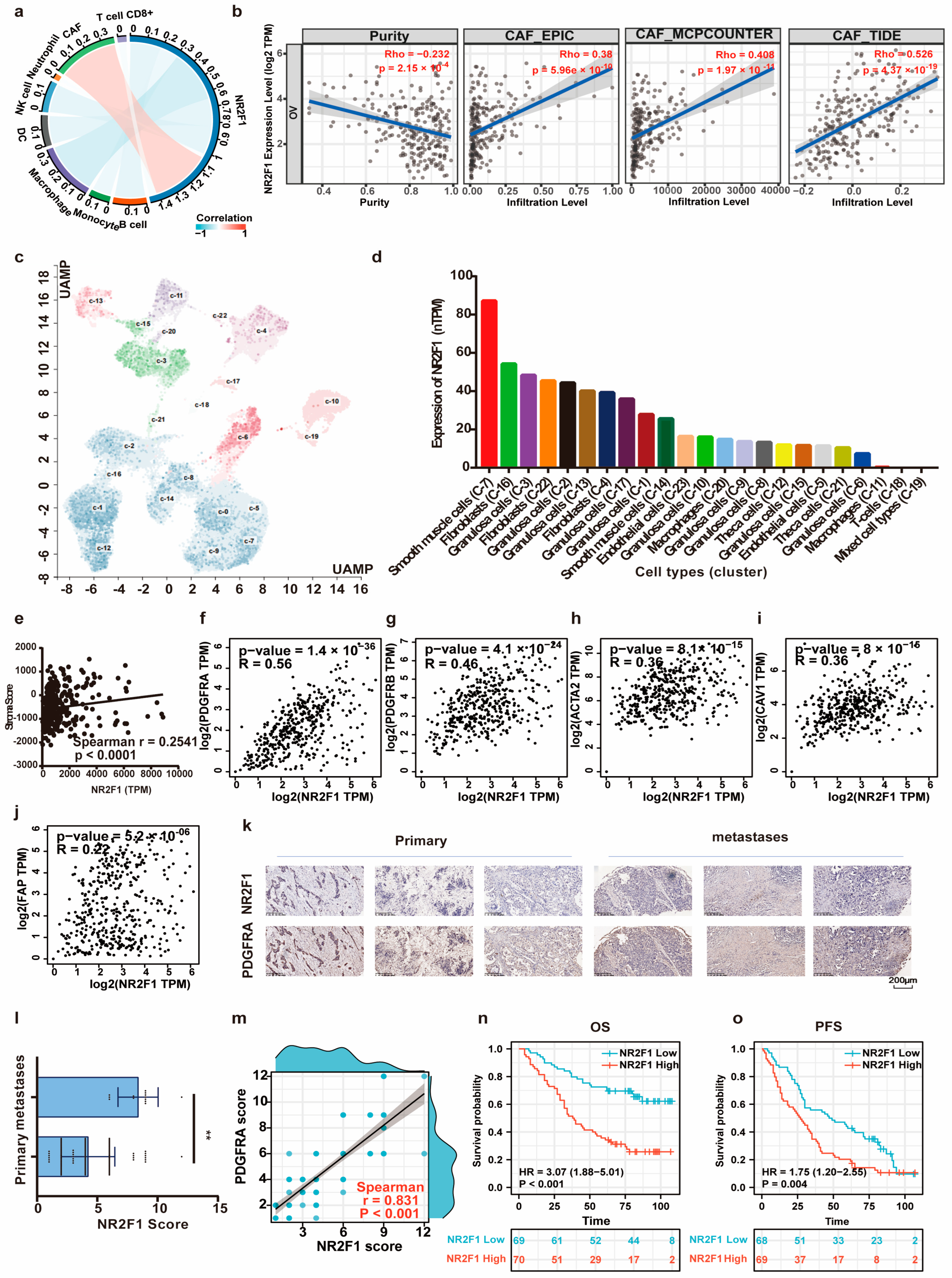 Cancers 14 04639 g007