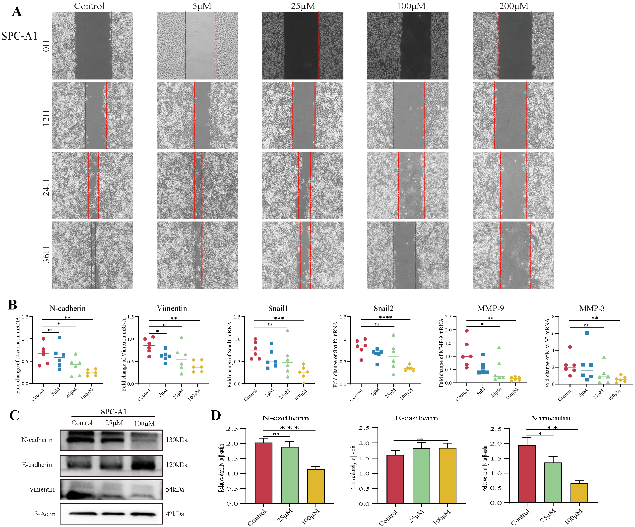 Cancers 14 04645 g002