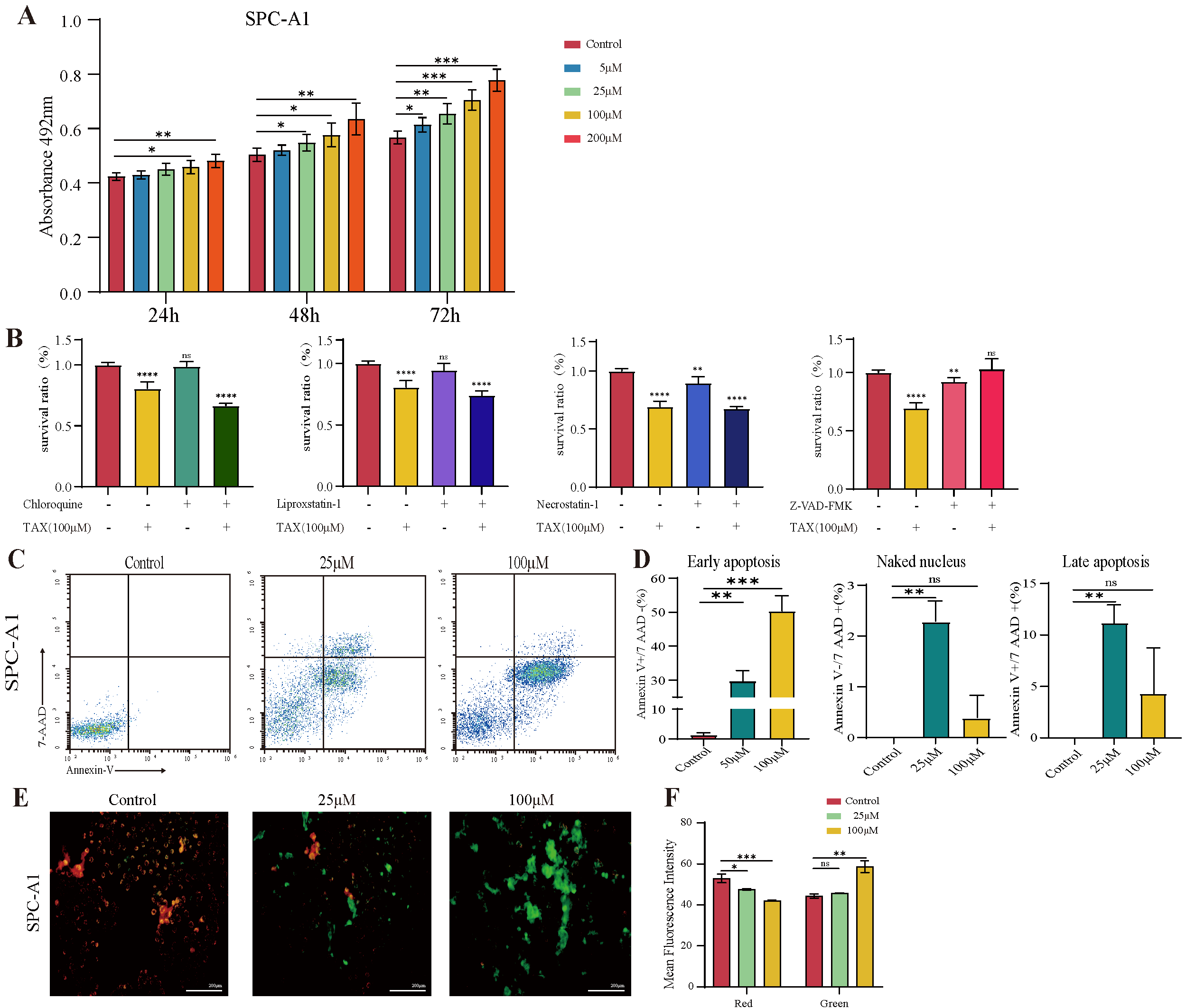 Cancers 14 04645 g004