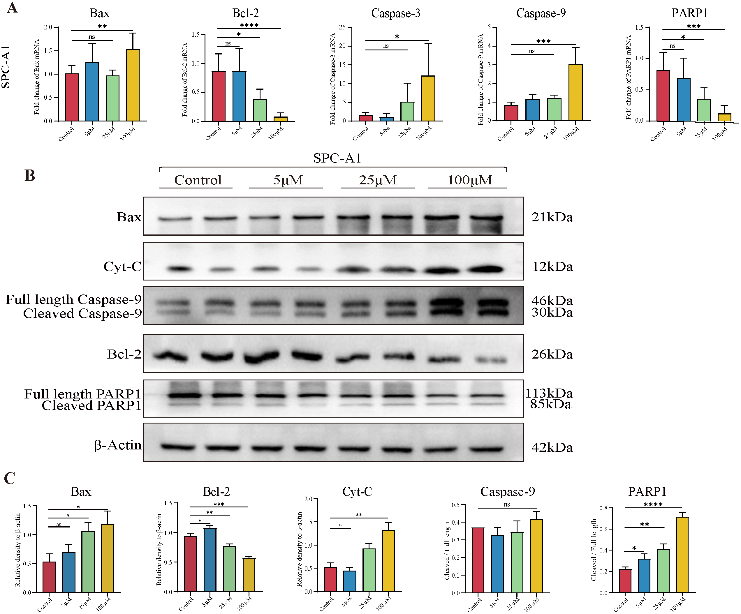 Cancers 14 04645 g005