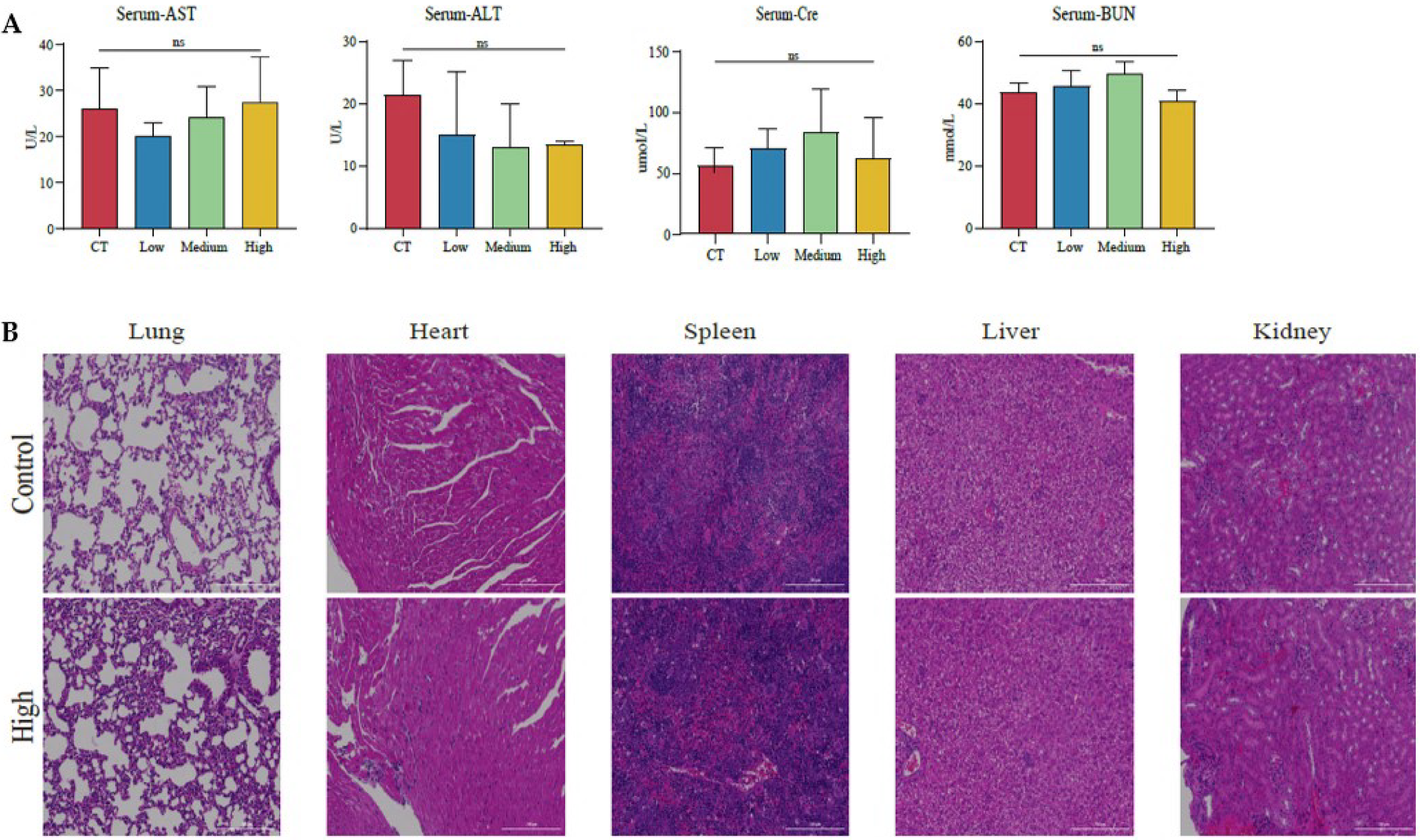 Cancers 14 04645 g007