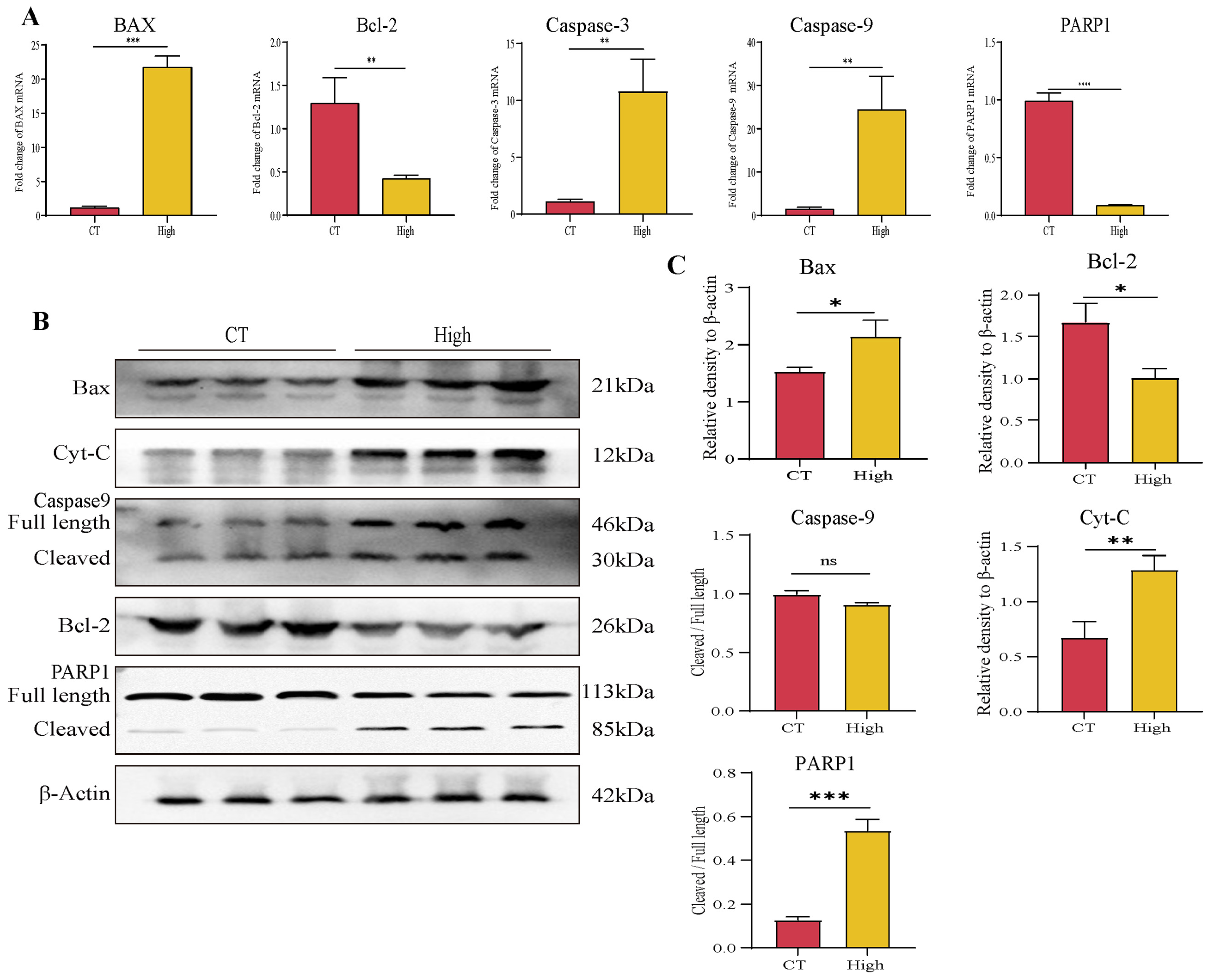 Cancers 14 04645 g009