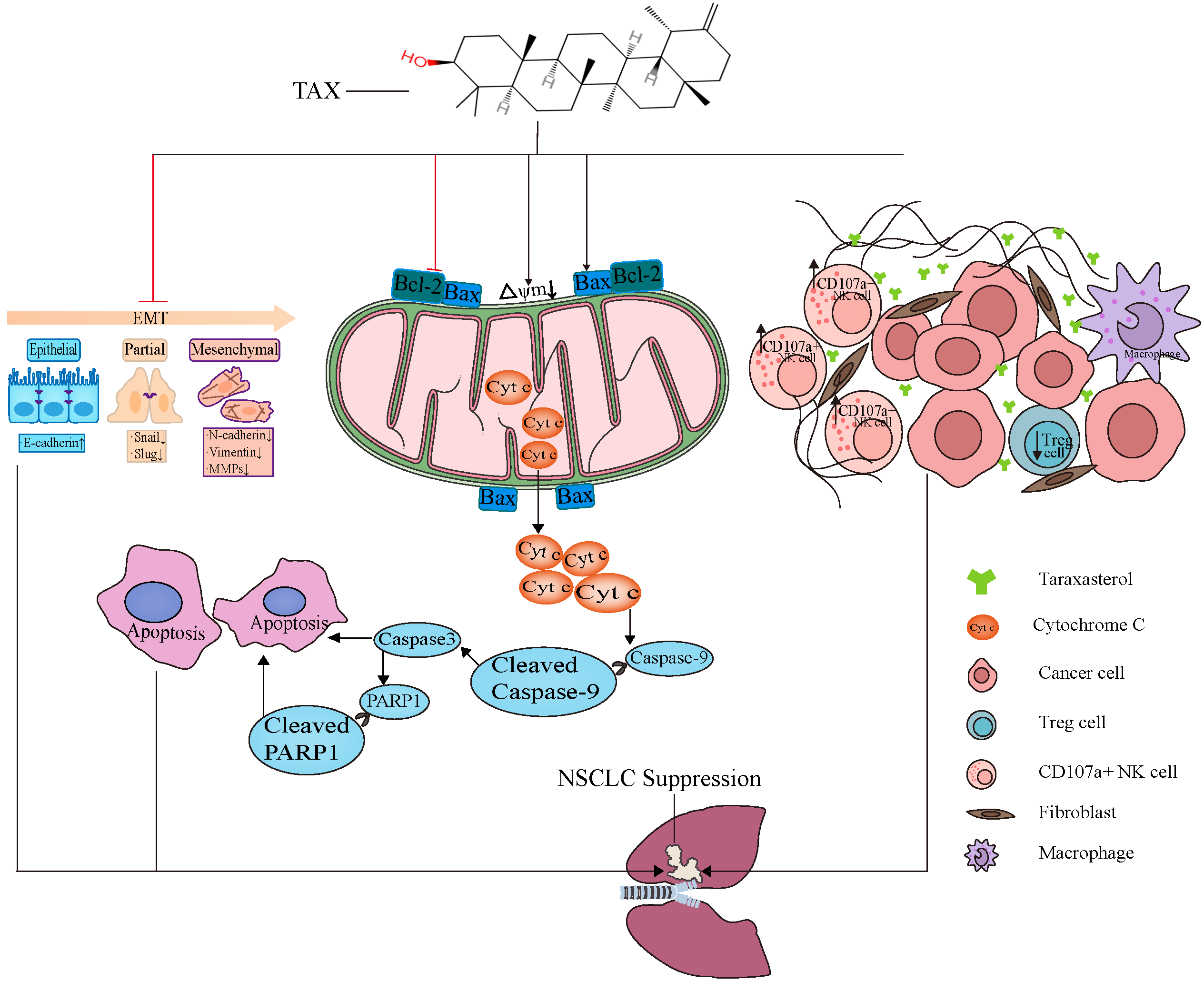 Cancers 14 04645 g011