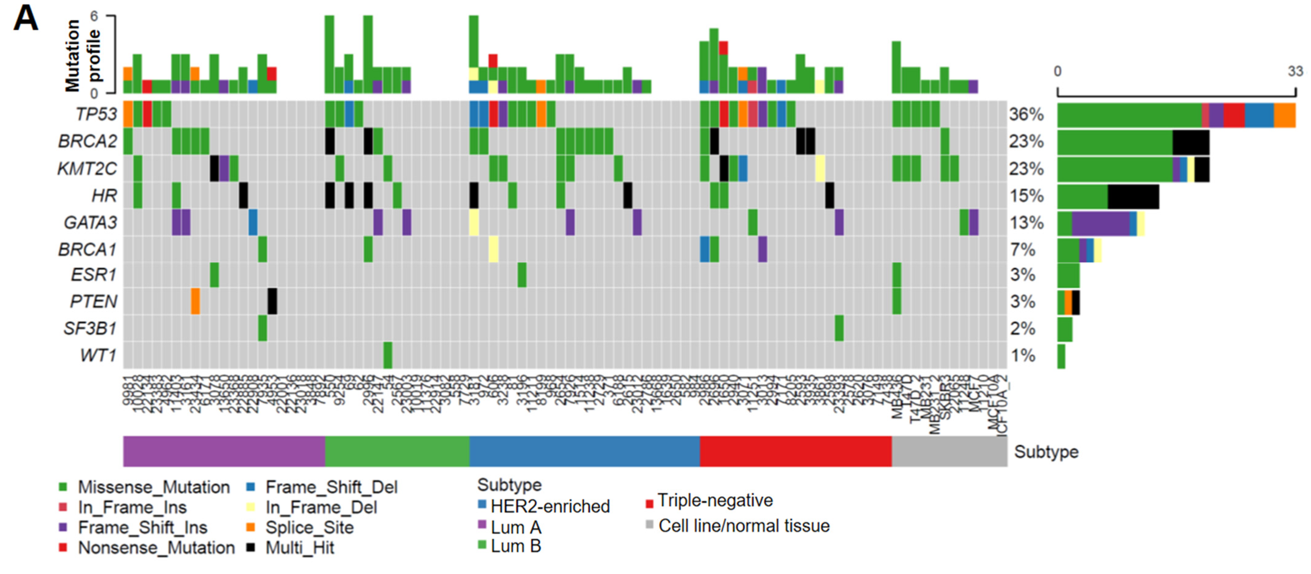 Cancers 14 04648 g001a Cancers 14 04648 g001a