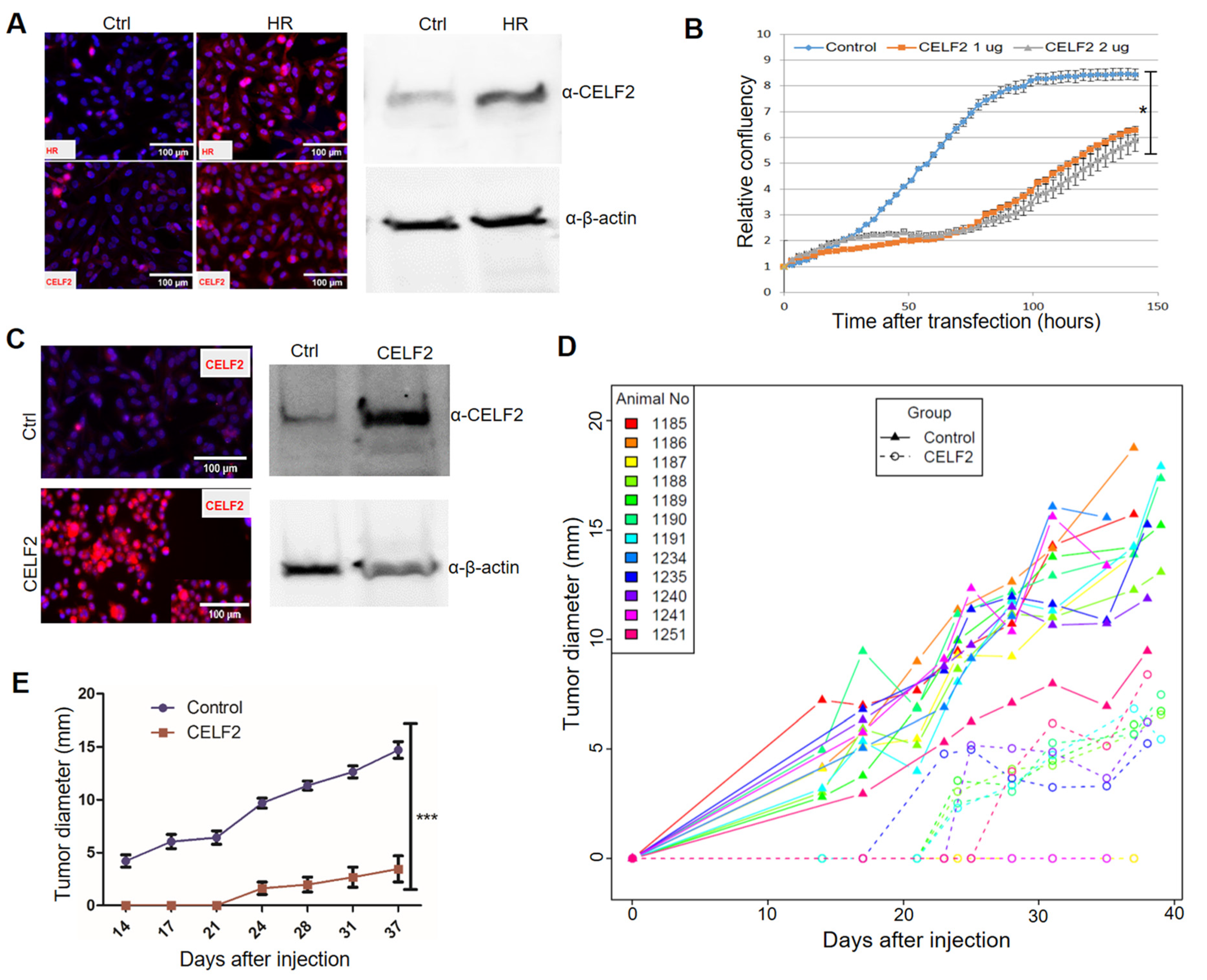 Cancers 14 04648 g005 Cancers 14 04648 g005