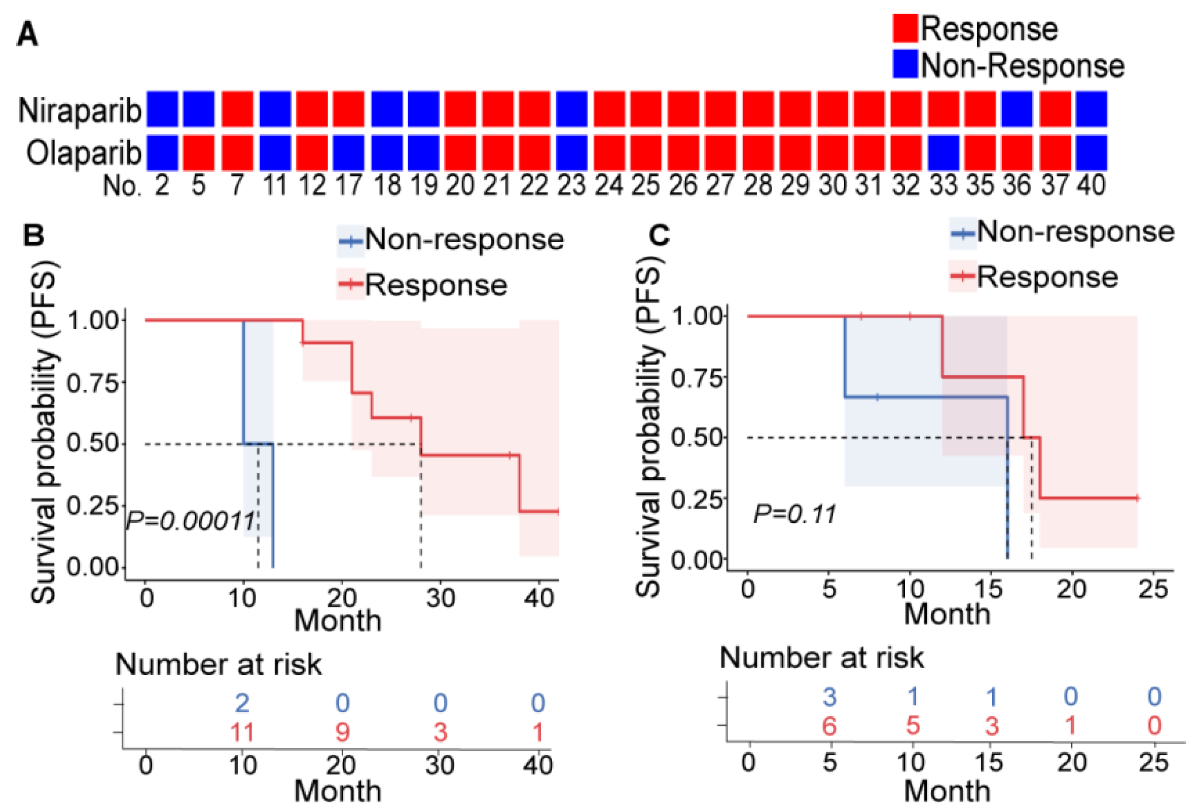 Cancers 14 04649 g001