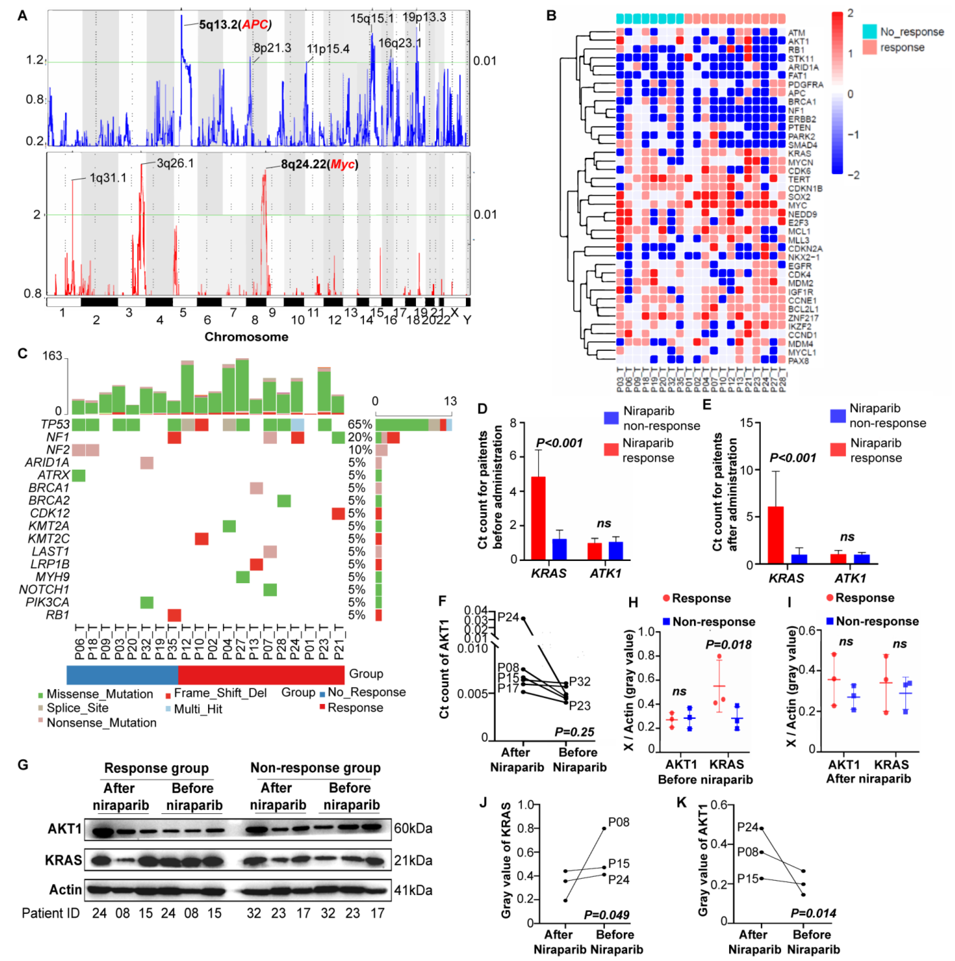 Cancers 14 04649 g002