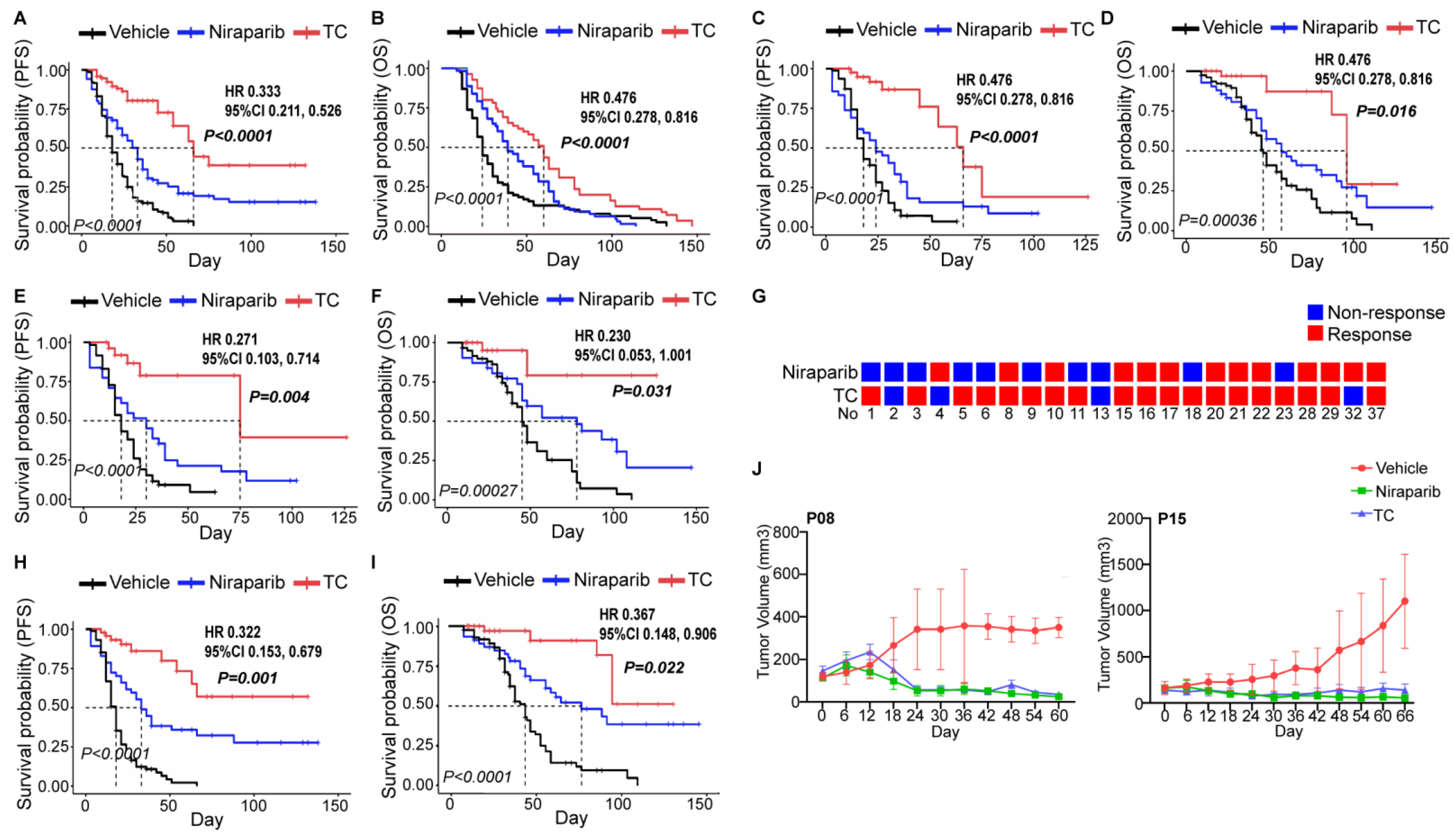 Cancers 14 04649 g004