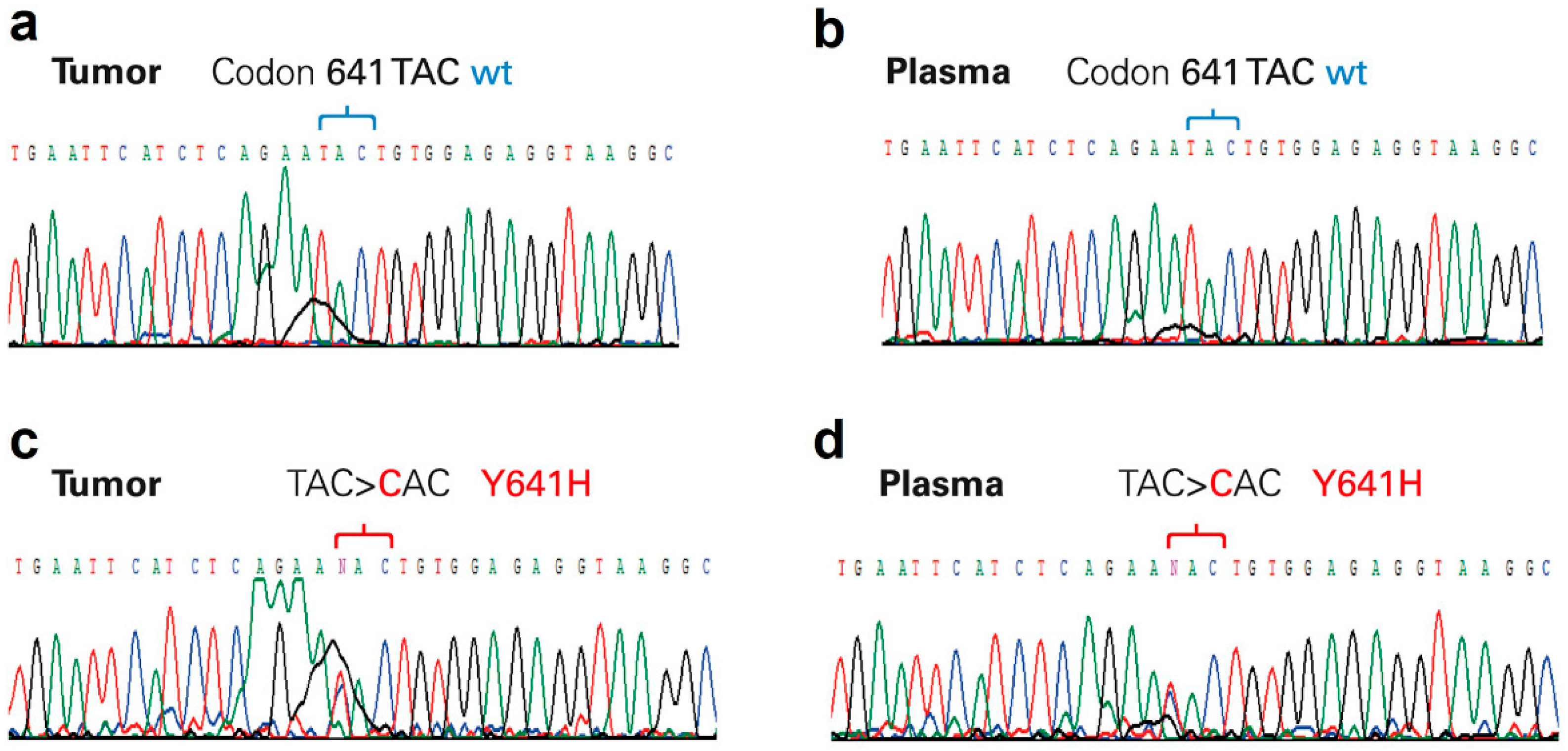 Cancers 14 04650 g001