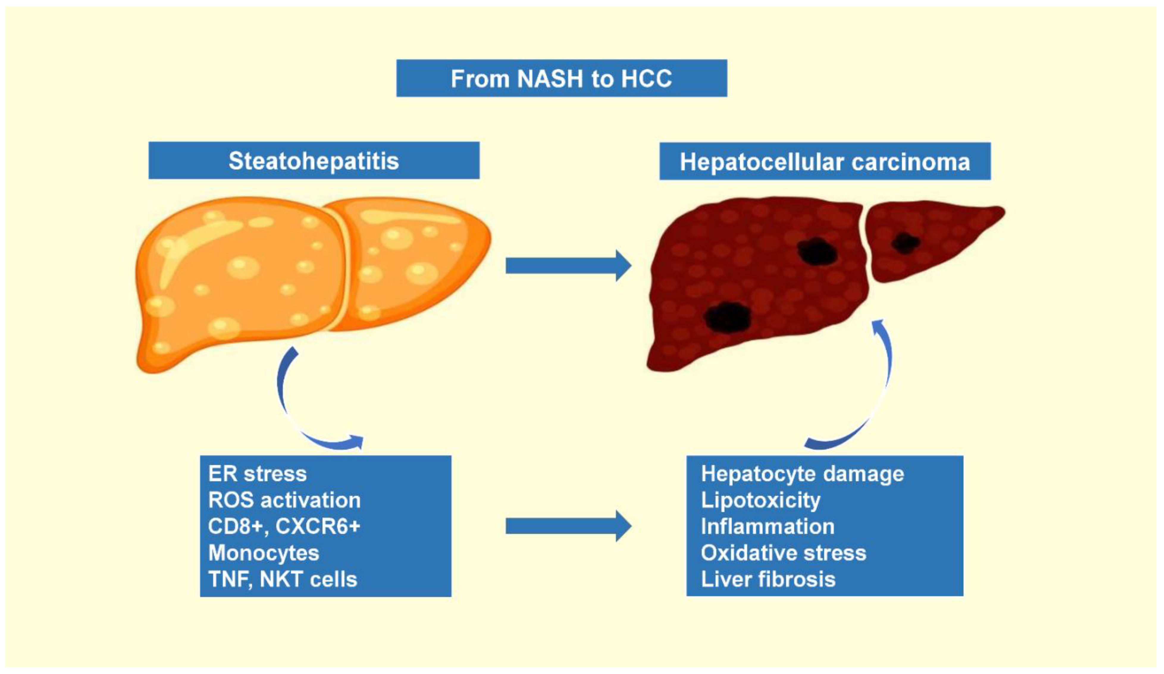 Cancers 14 04651 g001